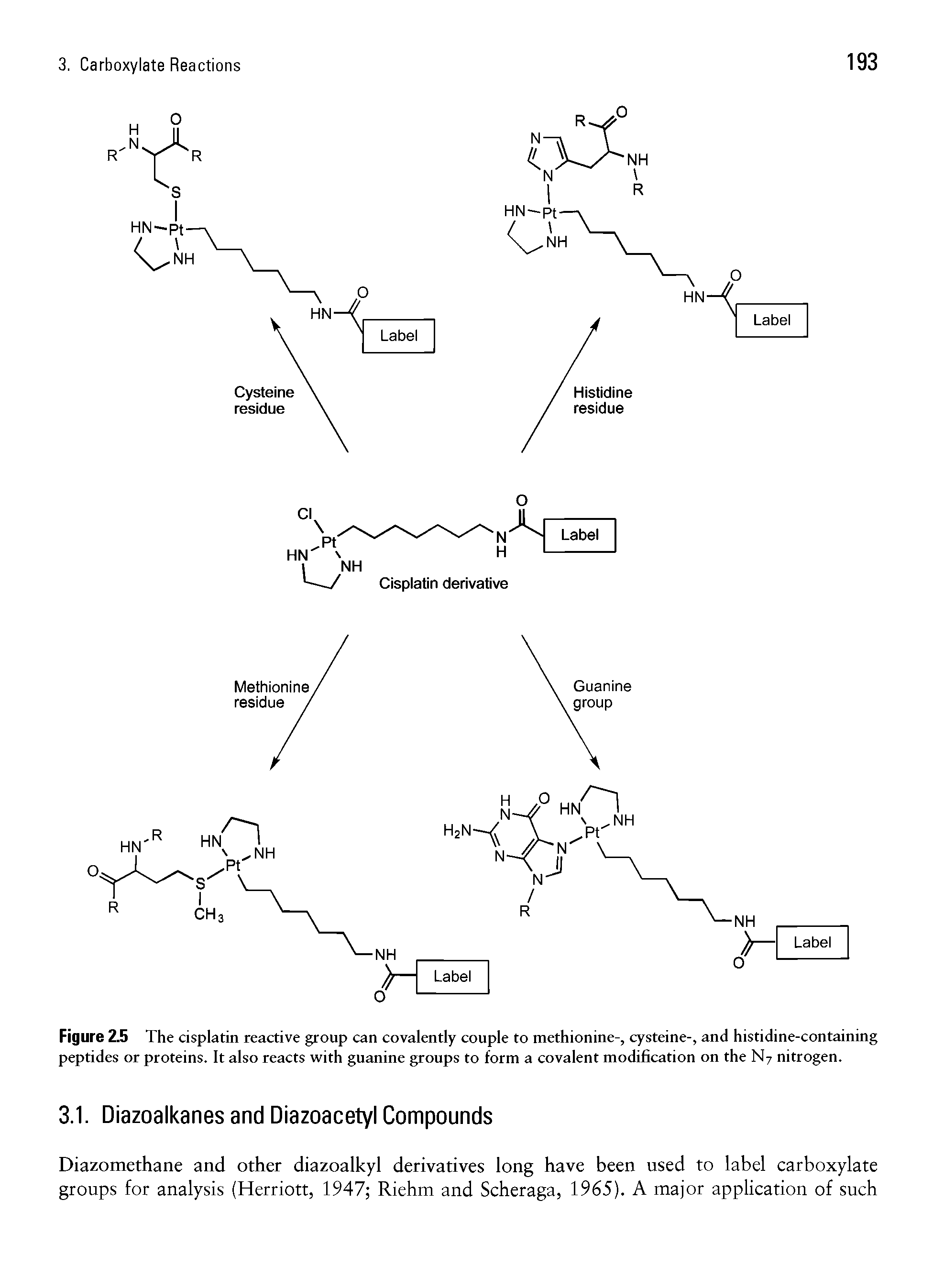 Figure 2.5 The cisplatin reactive group can covalently couple to methionine-, cysteine-, and histidine-containing peptides or proteins. It also reacts with guanine groups to form a covalent modification on the N7 nitrogen.