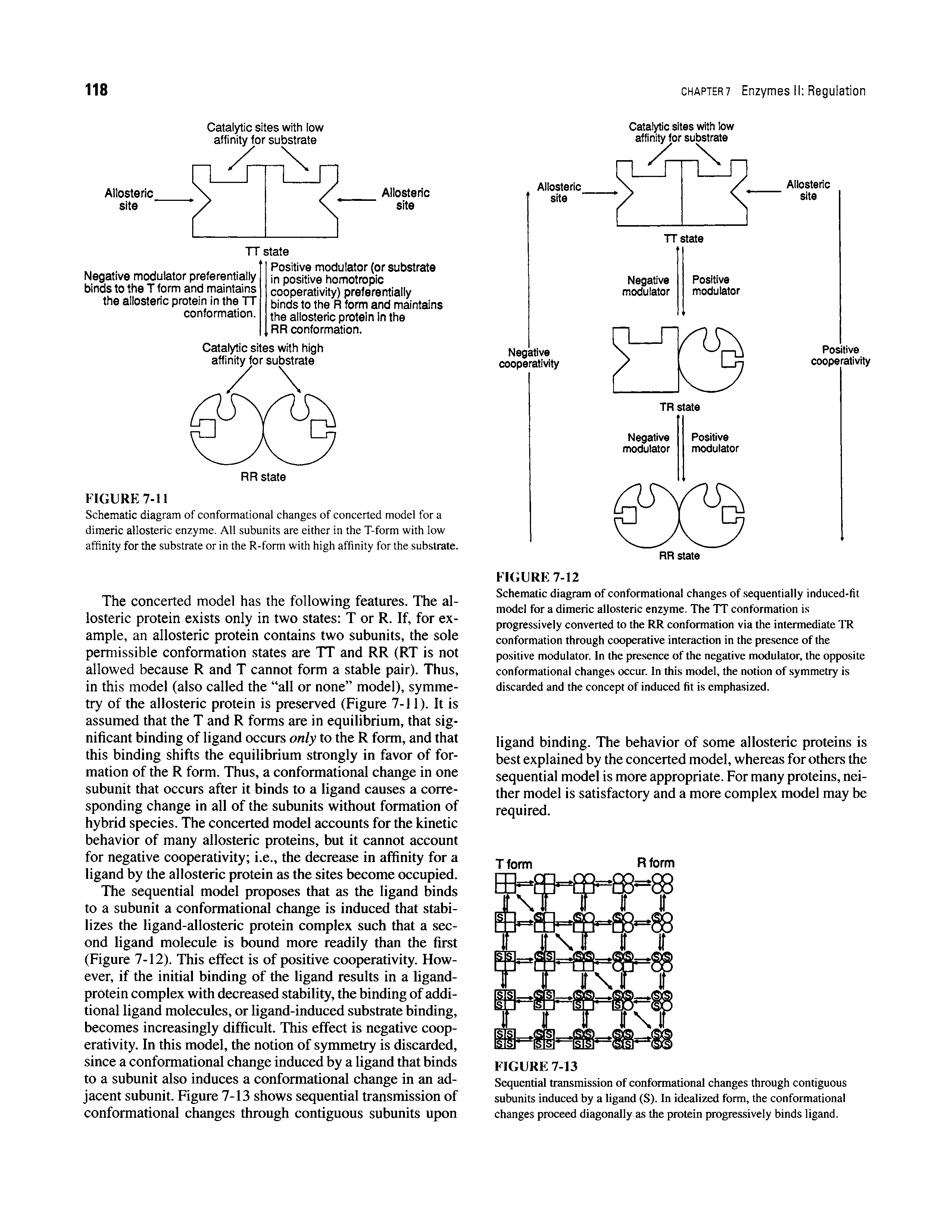 Schematic diagram of conformational changes of. sequentially induced-fit model for a dimeric allosteric enzyme. The TT conformation is progressively converted to the RR conformation via the intermediate TR conformation through cooperative interaction in the presence of the positive modulator. In the presence of the negative modulator, the opposite conformational changes occur. In this model, the notion of. symmetry is discarded and the concept of induced fit is emphasized.