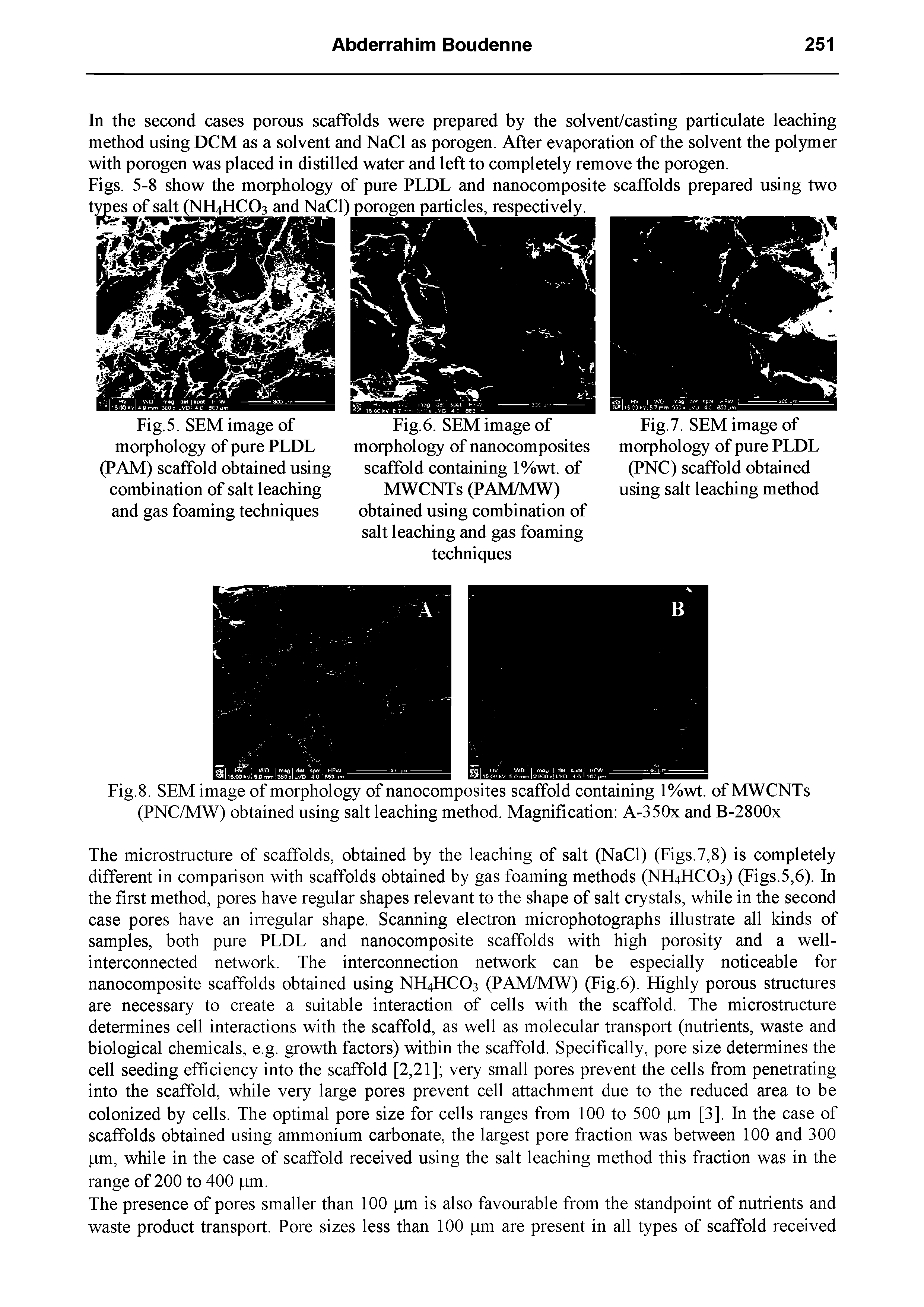 Fig.7. SEM image of morphology of pure PLDL (PNC) scaffold obtained using salt leaching method...