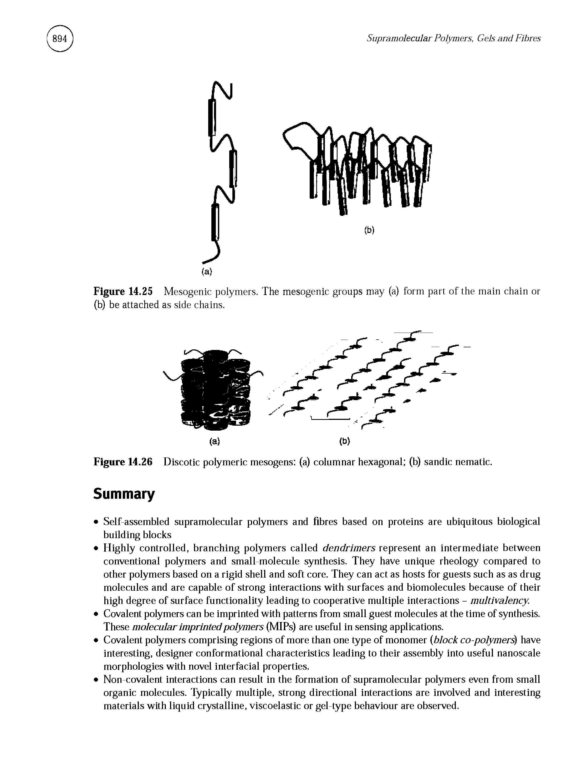 Figure 14.25 Mesogenic polymers. The mesogenic groups may (a) form part of the main chain or (b) be attached as side chains.