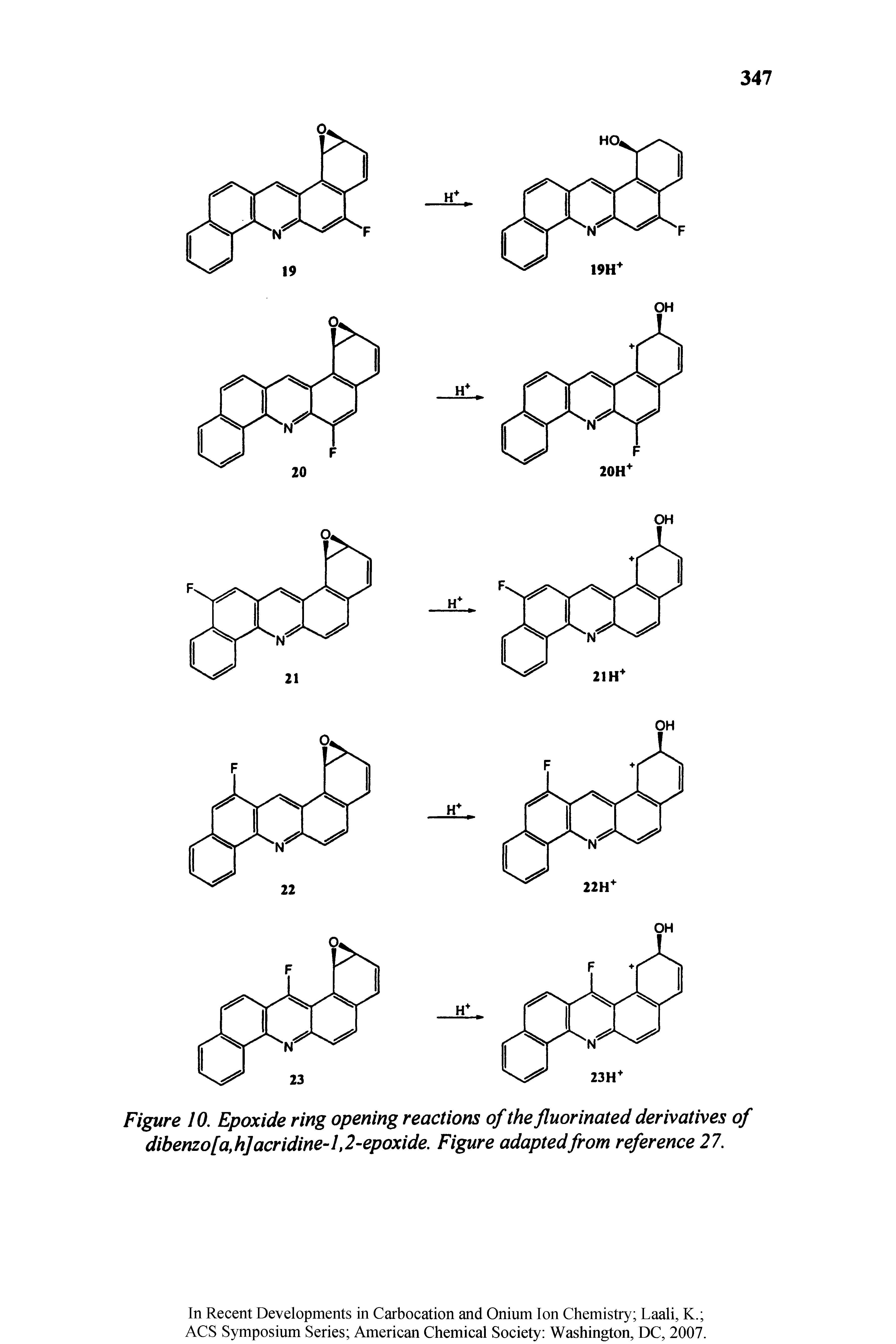 Figure 10. Epoxide ring opening reactions of the fluor mated derivatives of dibenzo [a,h] acridine-1,2-epoxide. Figure adapted from reference 27.