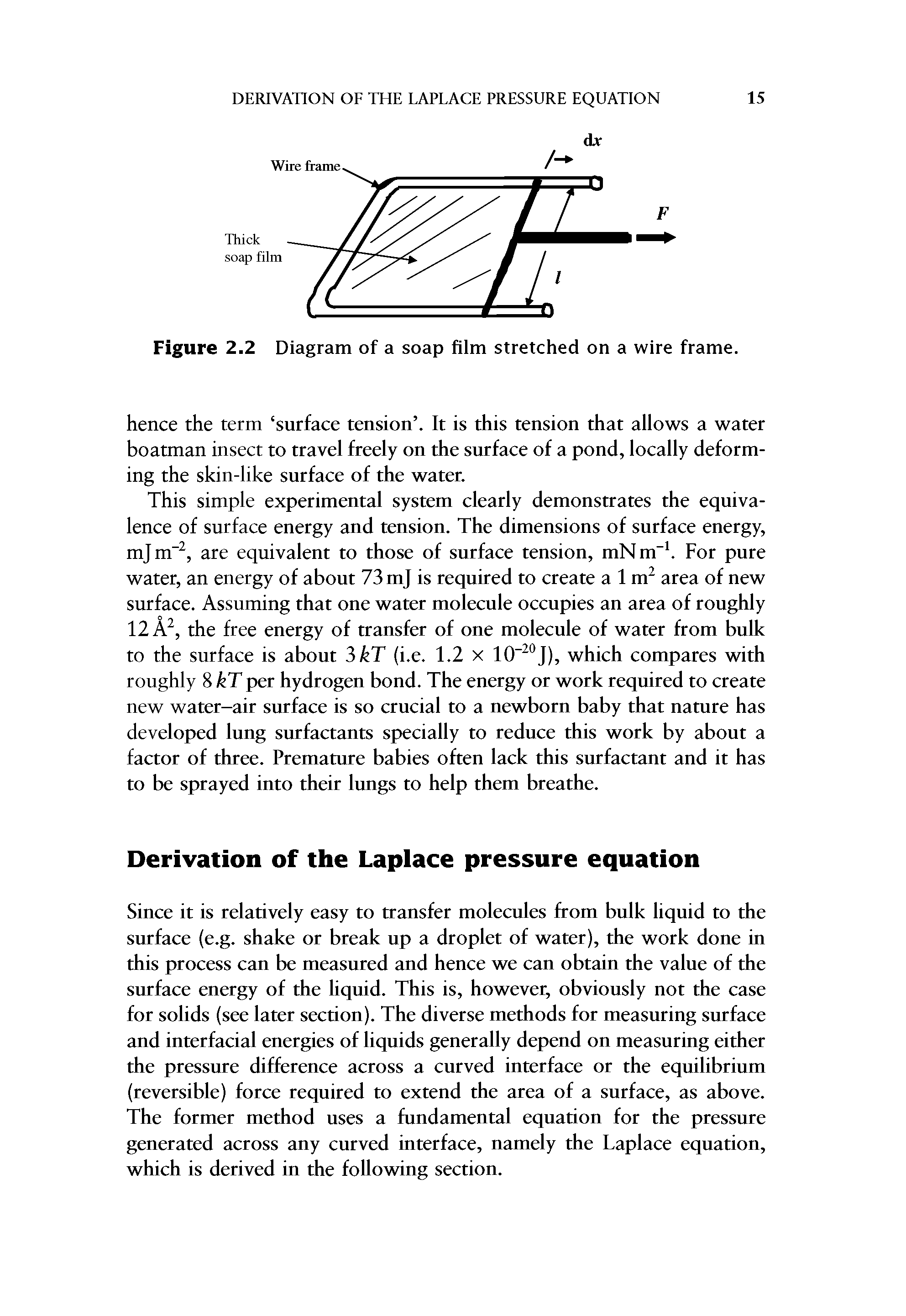 Figure 2.2 Diagram of a soap film stretched on a wire frame.