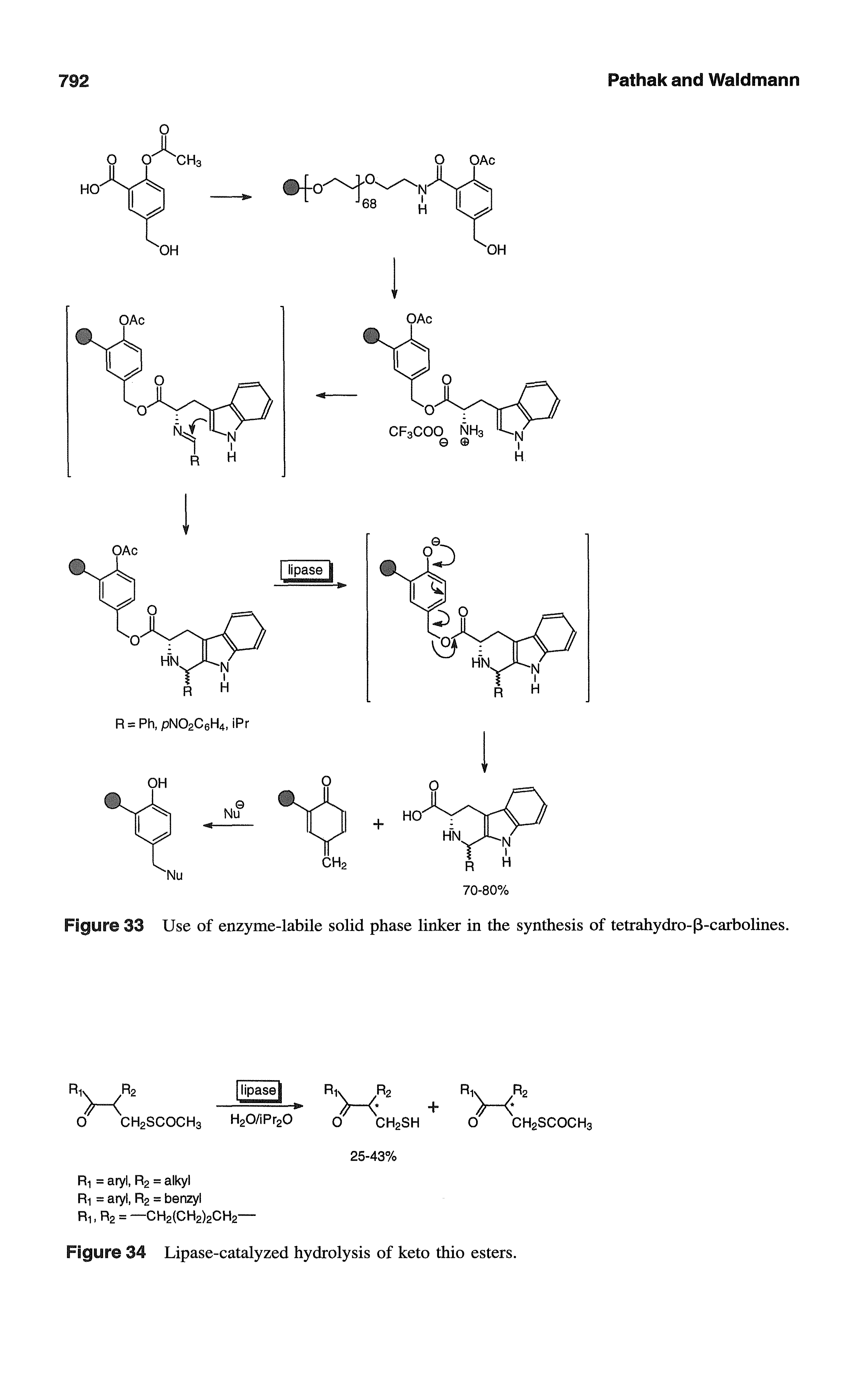 Figure 33 Use of enzyme-labile solid phase linker in the synthesis of tetrahydro-P-carbolines.