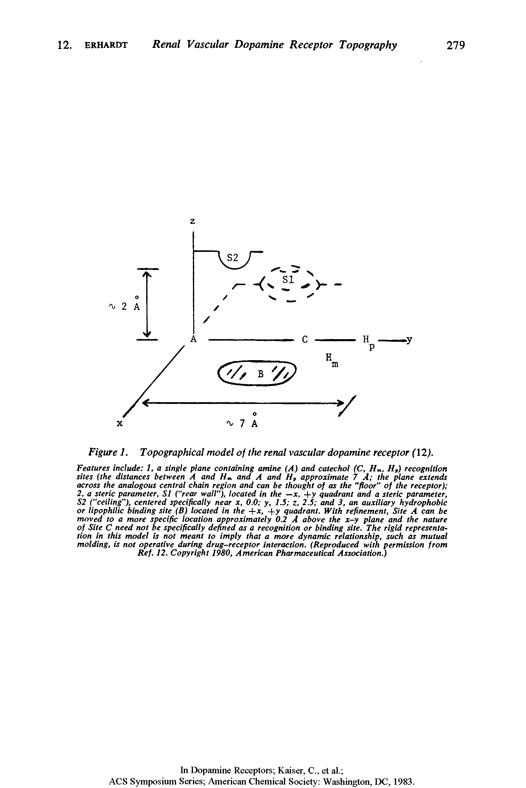 Figure 1. Topographical model of the renal vascular dopamine receptor (12).