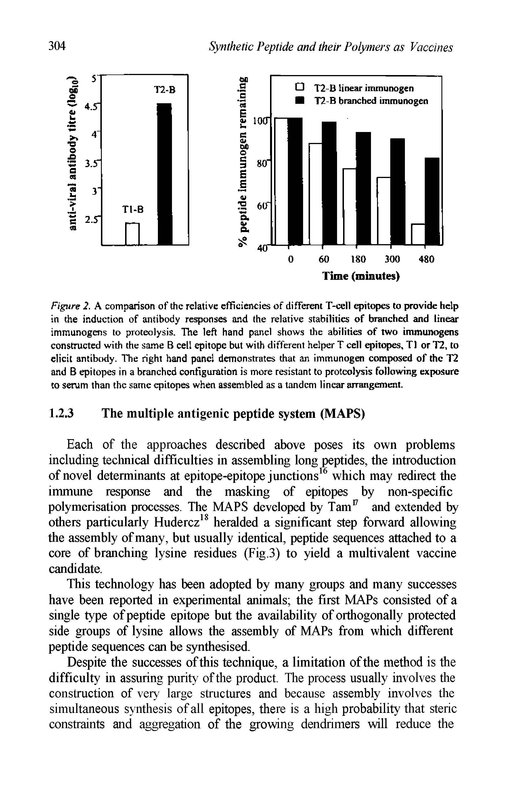 Figure 2. A comparison of the relative efficiencies of different T-cell epitopes to provide help in the induction of antibody responses and the relative stabilities of branched and linear immunogens to proteolysis. The left hand panel shows the abilities of two immunogens constructed with the same B cell epitope but with different helper T cell qpitopes. T1 or T2, to elicit antibody. The right hand panel demonstrates that an immunogen c< npased of the T2 and B epitopes in a branched configuration is more resistant to proteolysis following exposure to serum than the same epitopes when assembled as a tandem linear arrangement.