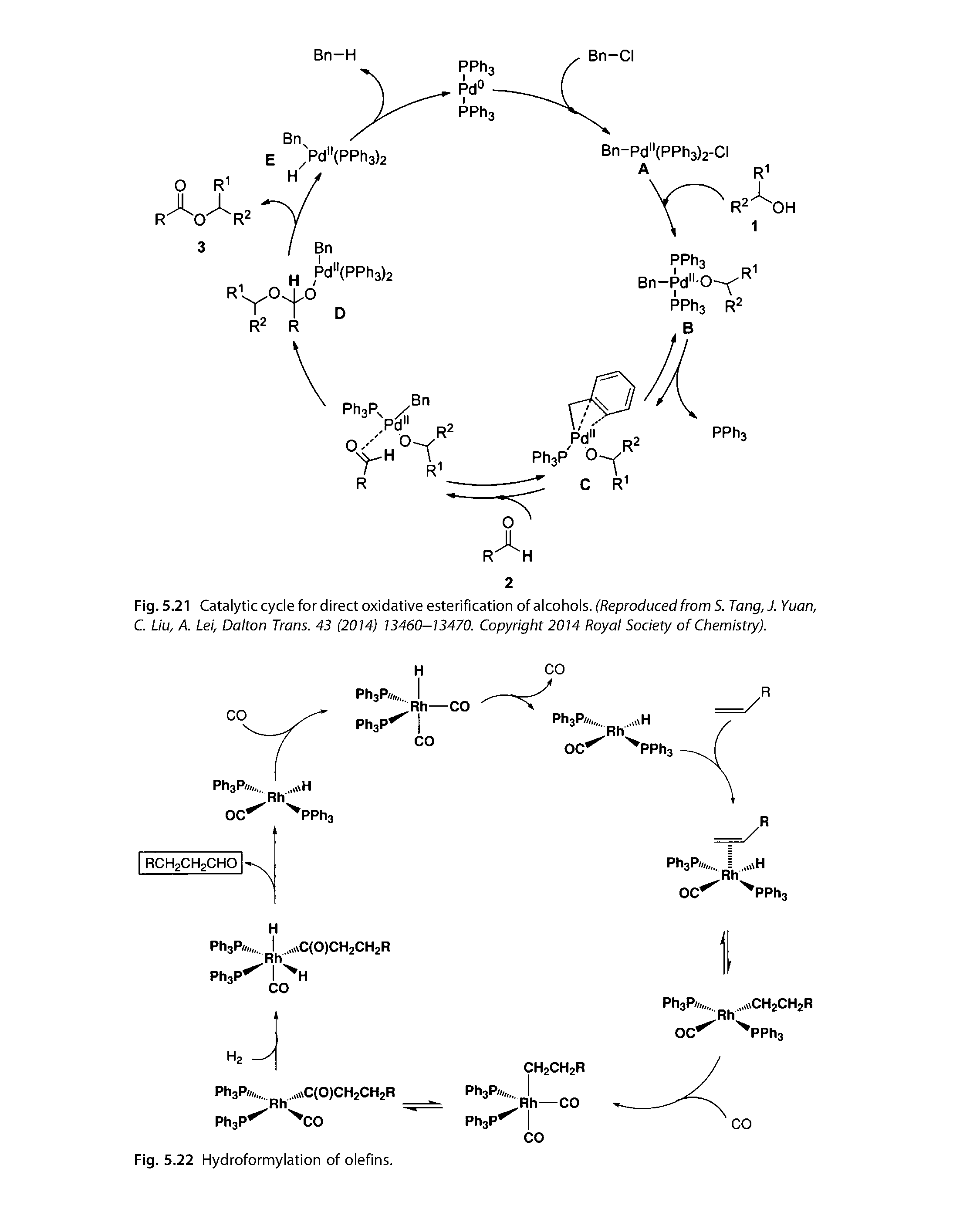 Fig. 5.21 Catalytic cycle for direct oxidative esterification of alcohols. (Reproduced from S. Tang,J. Yuan, C. Liu, A. Lei, Dalton Trans. 43 (2014) 13460—13470. Copyright 2014 Royal Society of Chemistry).