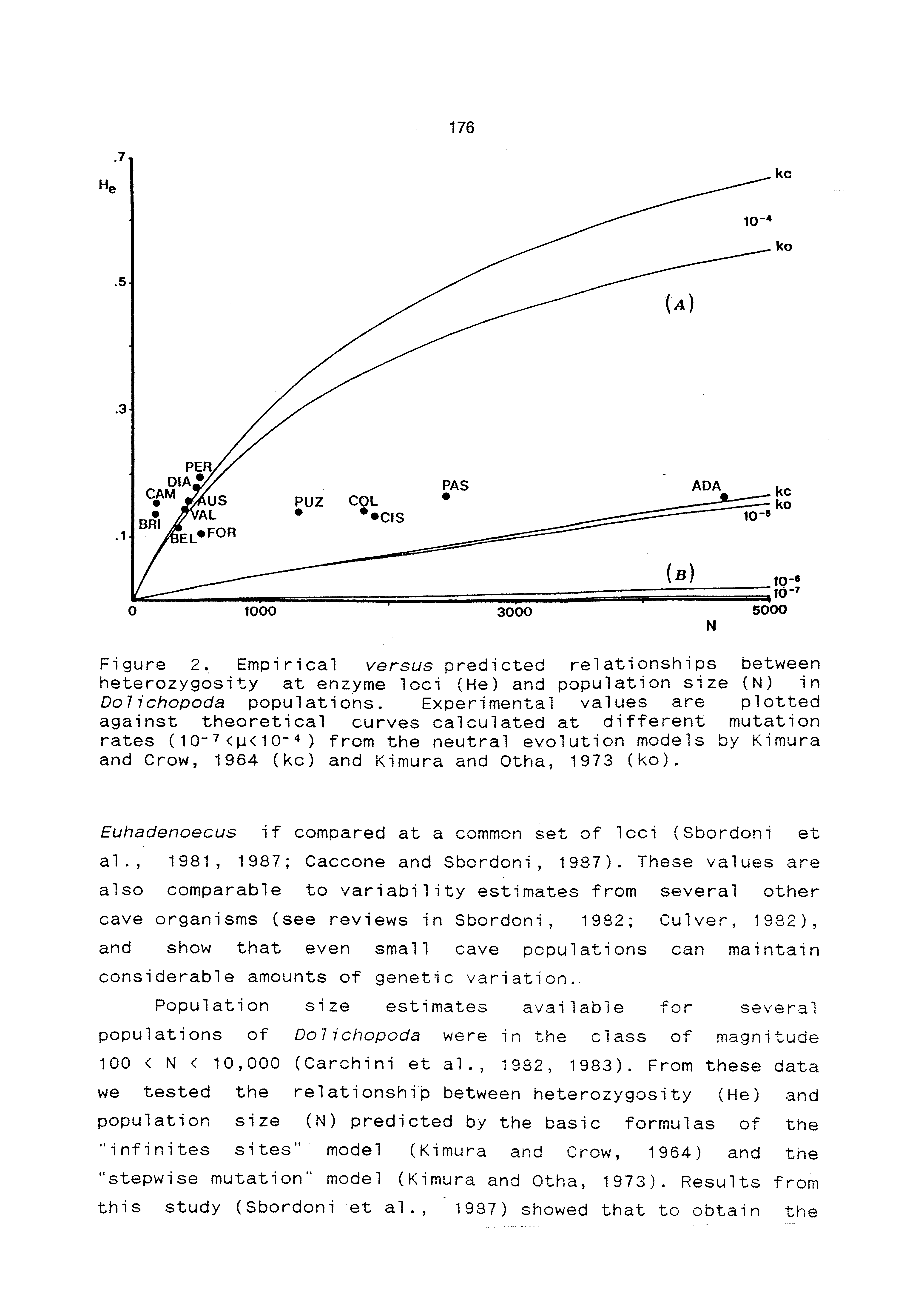 Figure 2. Empirical versus predicted relationships between heterozygosity at enzyme loci (He) and population size (N) in Dolichopoda populations. Experimental values are plotted against theoretical curves calculated at different mutation rates (10 <m< 10"" ) from the neutral evolution models by Kimura and Crow, 1964 (kc) and Kimura and Otha, 1973 (ko).