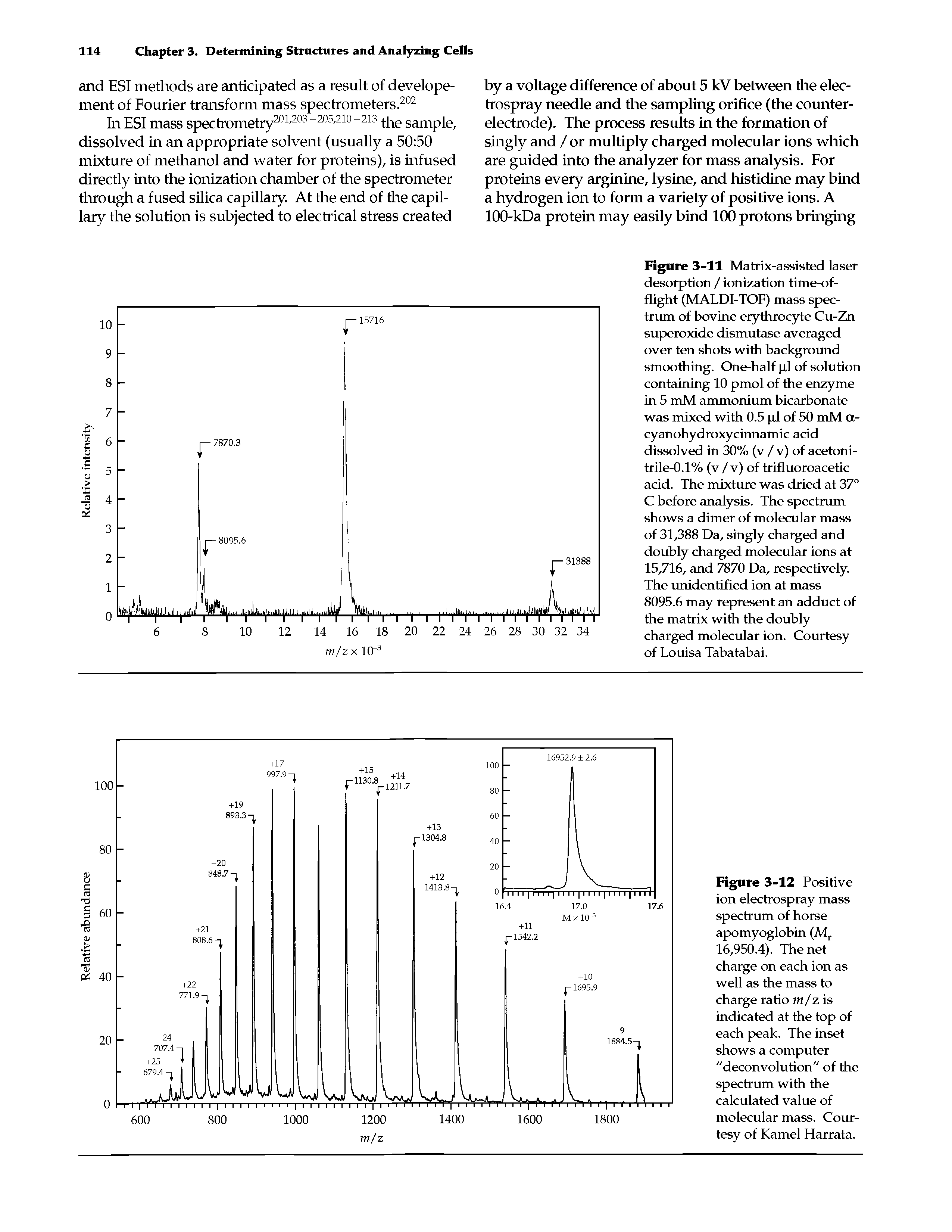 Figure 3-12 Positive ion electrospray mass spectrum of horse apomyoglobin (Mr 16,950.4). The net charge on each ion as well as the mass to charge ratio m/z is indicated at the top of each peak. The inset shows a computer "deconvolution" of the spectrum with the calculated value of molecular mass. Courtesy of Kamel Harrata.