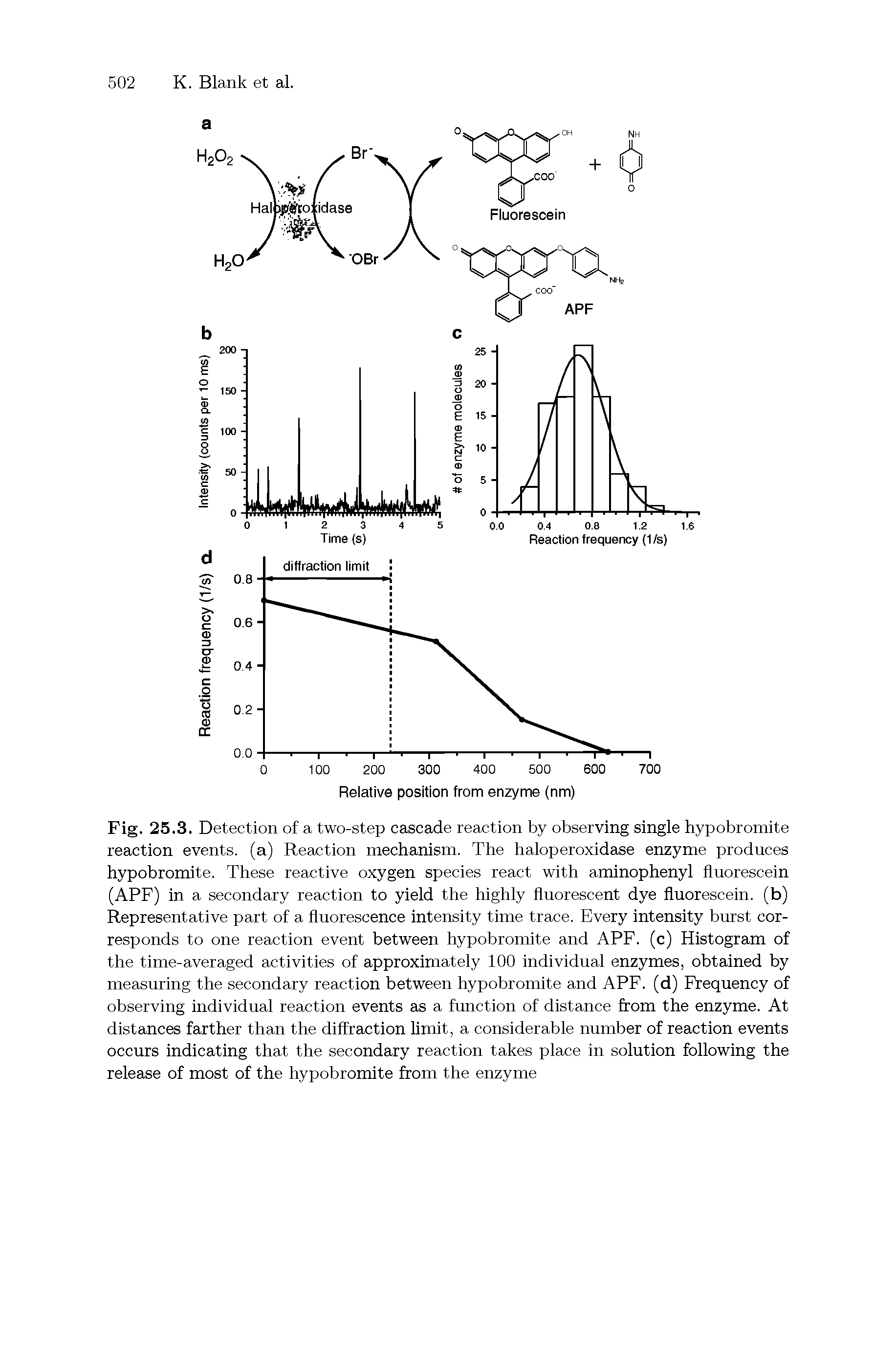 Fig. 25.3. Detection of a two-step cascade reaction by observing single hypobromite reaction events, (a) Reaction mechanism. The haloperoxidase enzyme produces hypobromite. These reactive oxygen species react with aminophenyl fluorescein (APF) in a secondary reaction to yield the highly fluorescent dye fluorescein, (b) Representative part of a fluorescence intensity time trace. Every intensity burst corresponds to one reaction event between hypobromite and APF. (c) Histogram of the time-averaged activities of approximately 100 individual enzymes, obtained by measuring the secondary reaction between hypobromite and APF. (d) Frequency of observing individual reaction events as a function of distance from the enzyme. At distances farther than the diffraction limit, a considerable number of reaction events occurs indicating that the secondary reaction takes place in solution following the release of most of the hypobromite from the enzyme...
