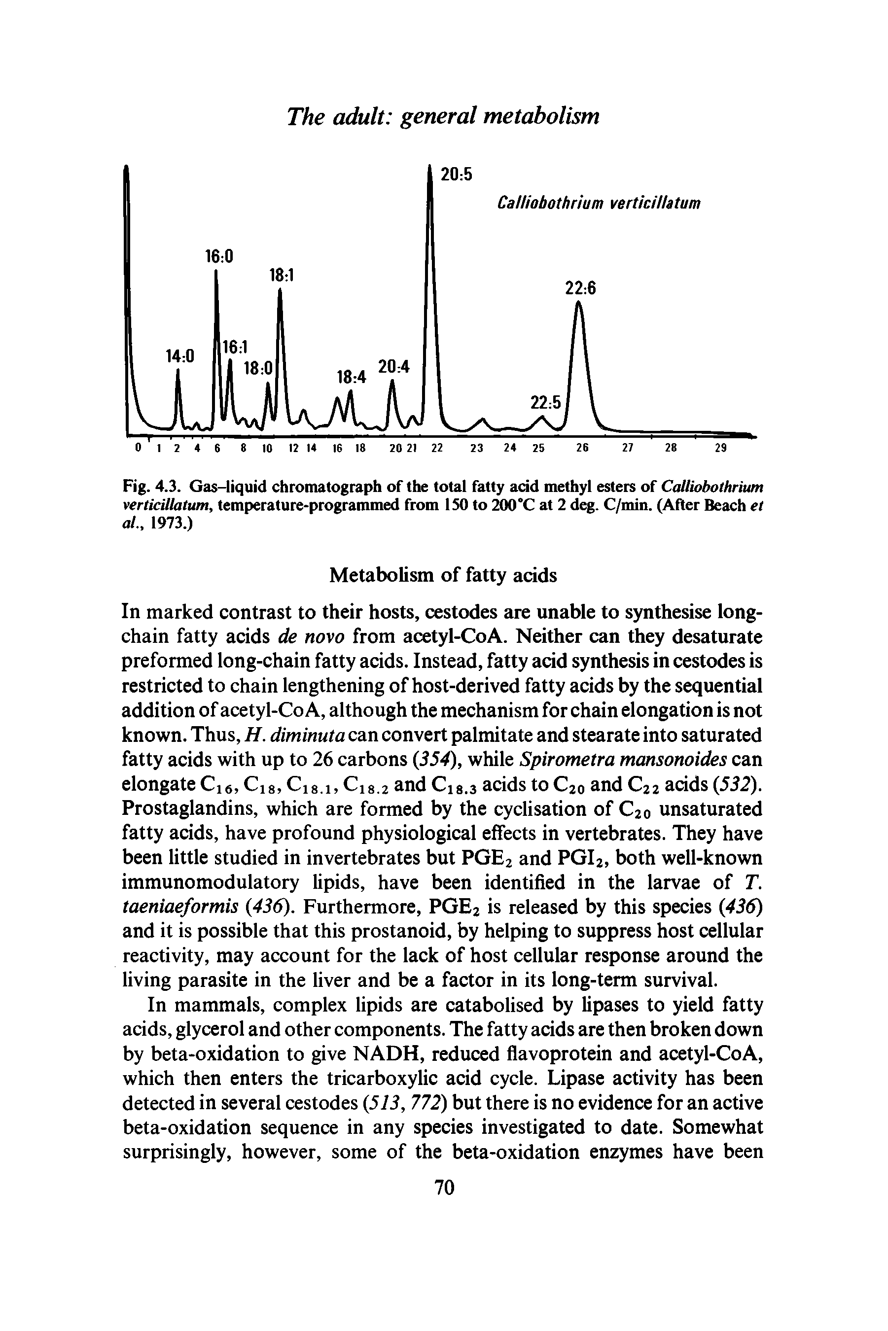 Fig. 4.3. Gas-liquid chromatograph of the total fatty acid methyl esters of Calliobolhrium verticillatum, temperature-programmed from ISO to 200°C at 2 deg. C/min. (After Beach et at., 1973.)...
