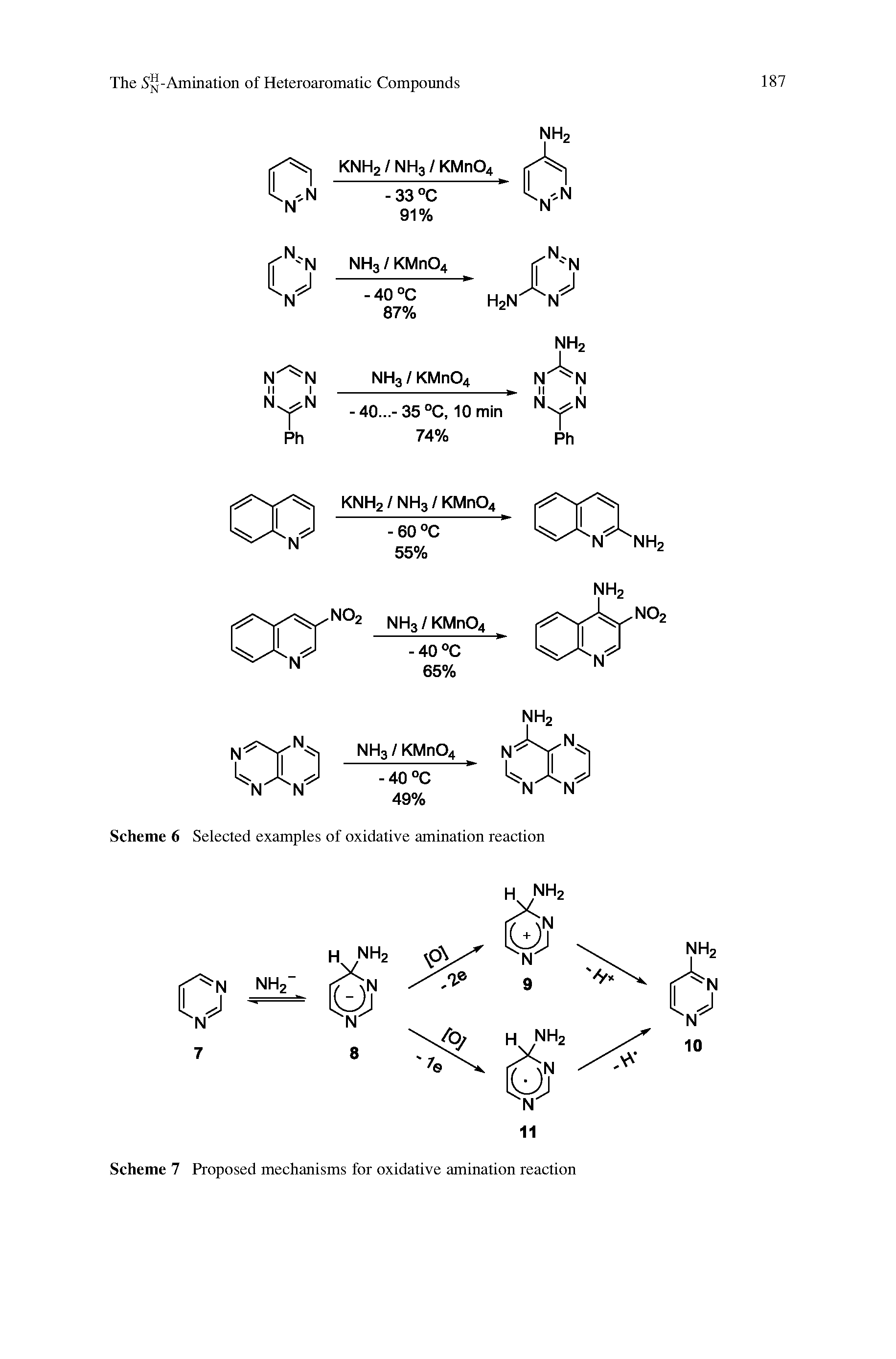 Scheme 6 Selected examples of oxidative amination reaction...