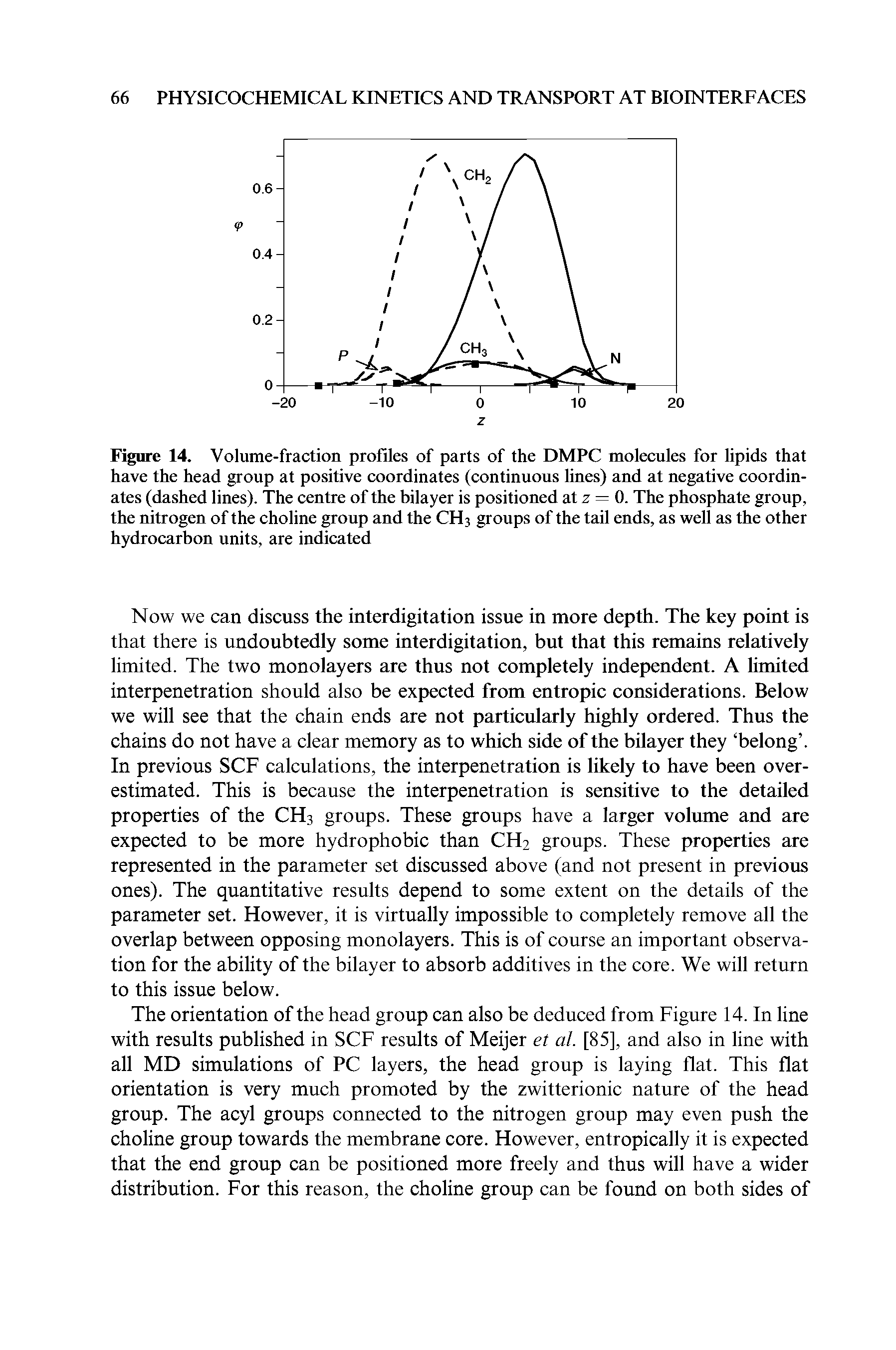 Figure 14. Volume-fraction profiles of parts of the DMPC molecules for lipids that have the head group at positive coordinates (continuous lines) and at negative coordinates (dashed lines). The centre of the bilayer is positioned at z — 0. The phosphate group, the nitrogen of the choline group and the CH3 groups of the tail ends, as well as the other hydrocarbon units, are indicated...