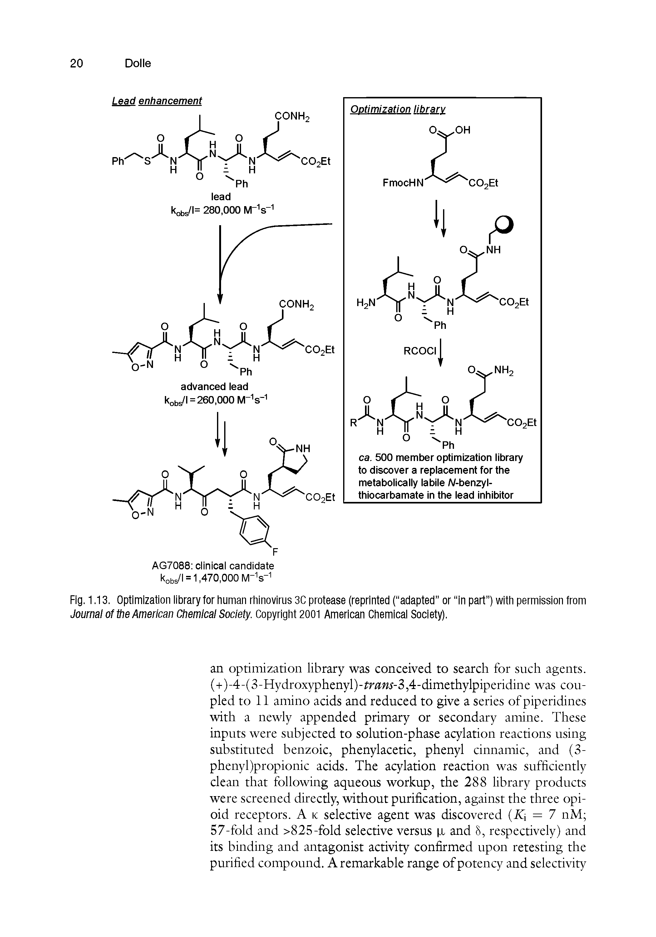Fig. 1.13. Optimization library for human rhinovirus 3C protease (reprinted ( adapted or in part ) with permission from Journal of the American Chemical Society. Copyright 2001 American Chemical Society).