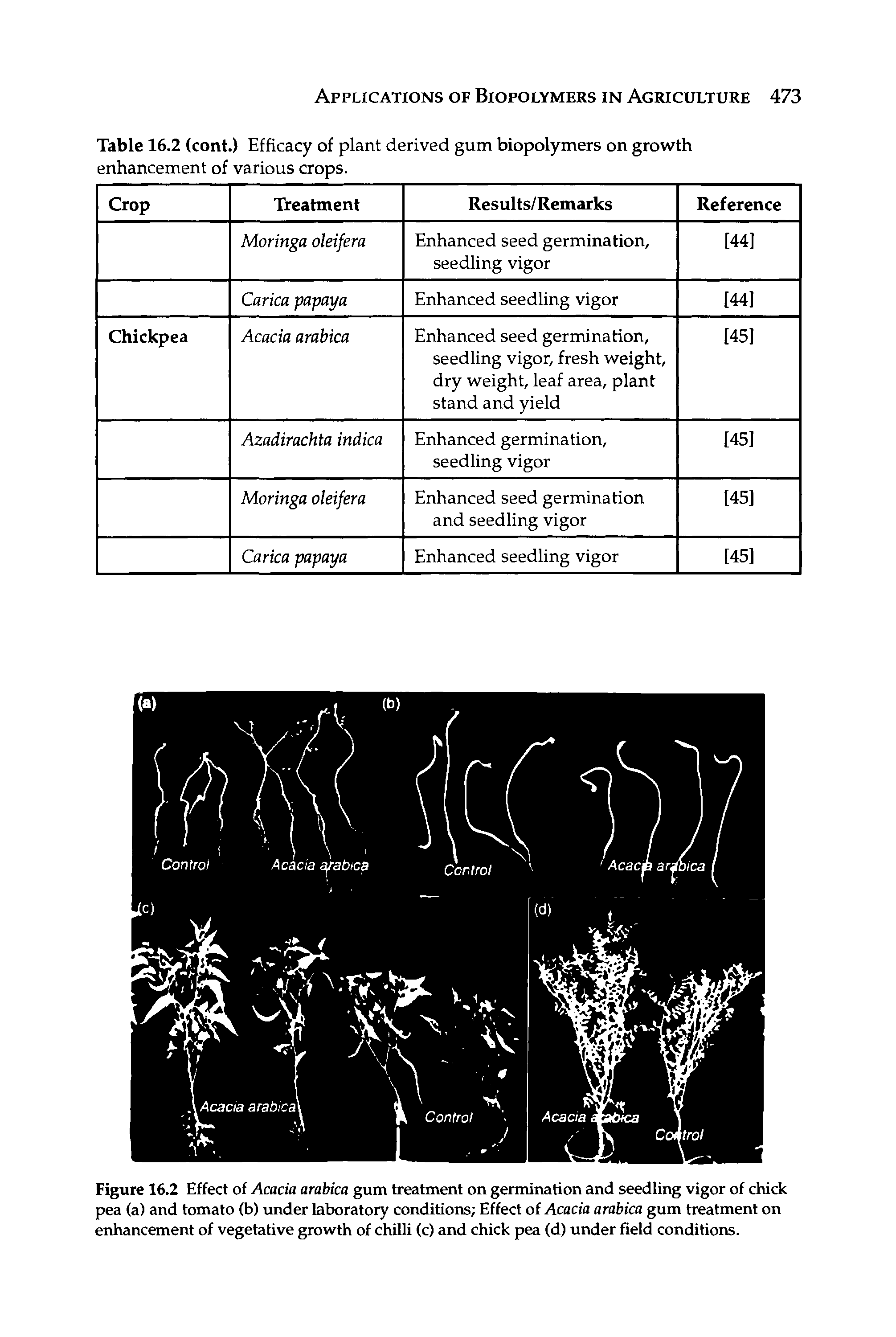 Figure 16.2 Effect of Acacia arabica gum treatment on germination and seedling vigor of chick pea (a) and tomato (b) under laboratory conditions Effect of Acacia arabica gum treatment on enhancement of vegetative growth of chilli (c) and chick pea (d) under field conditions.
