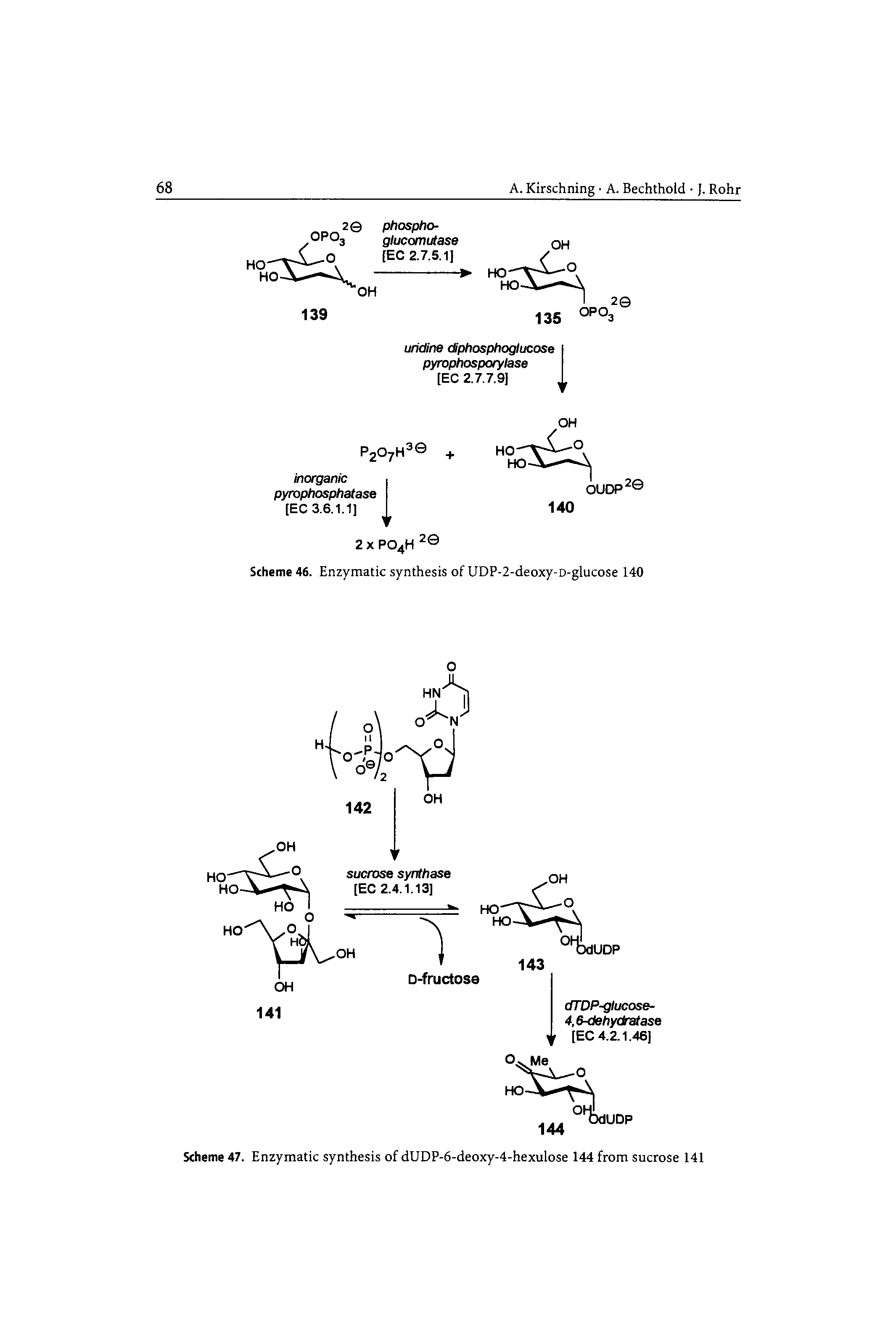 Scheme 47. Enzymatic synthesis of dUDP-6-deoxy-4-hexulose 144 from sucrose 141...