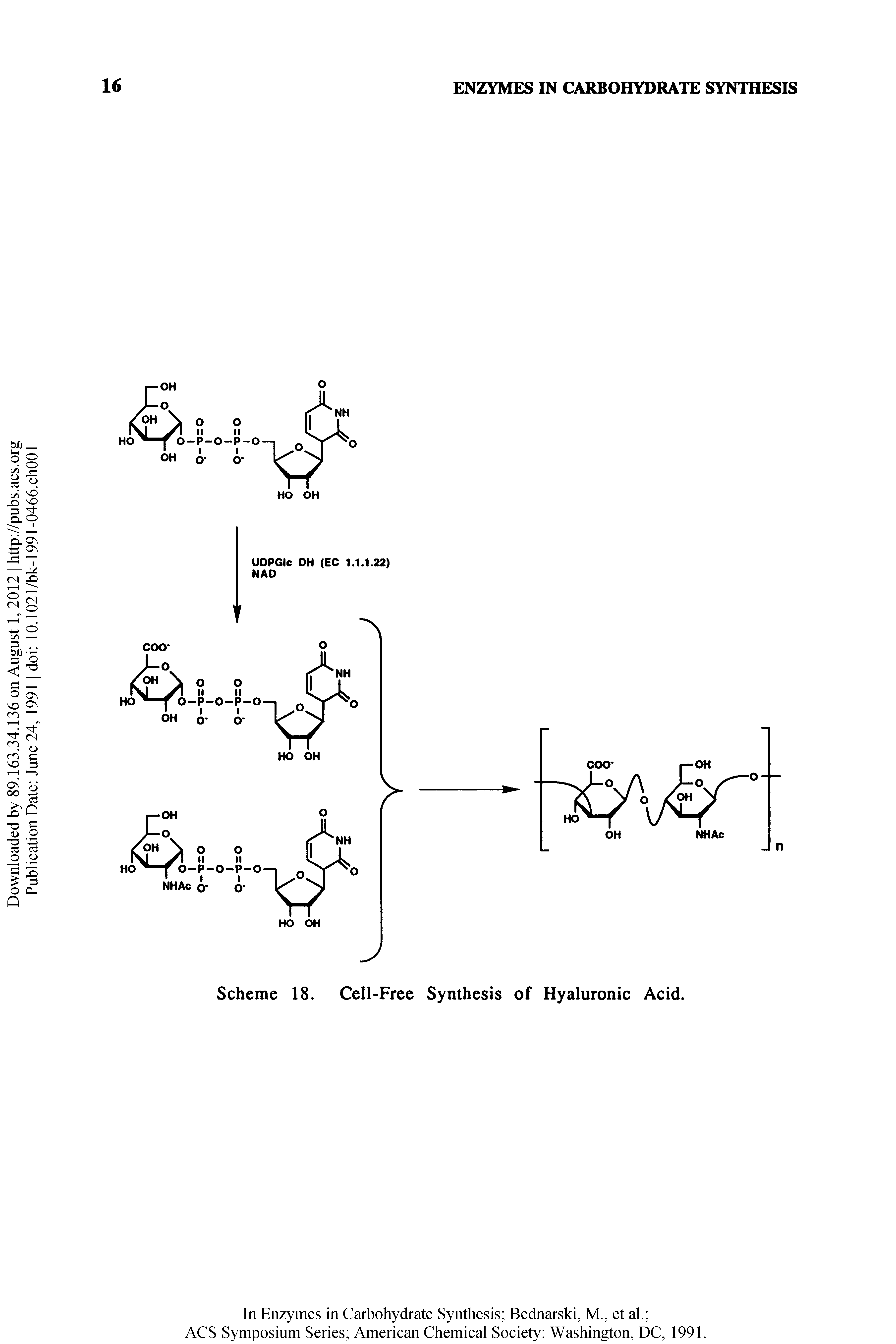 Scheme 18. Cell-Free Synthesis of Hyaluronic Acid.