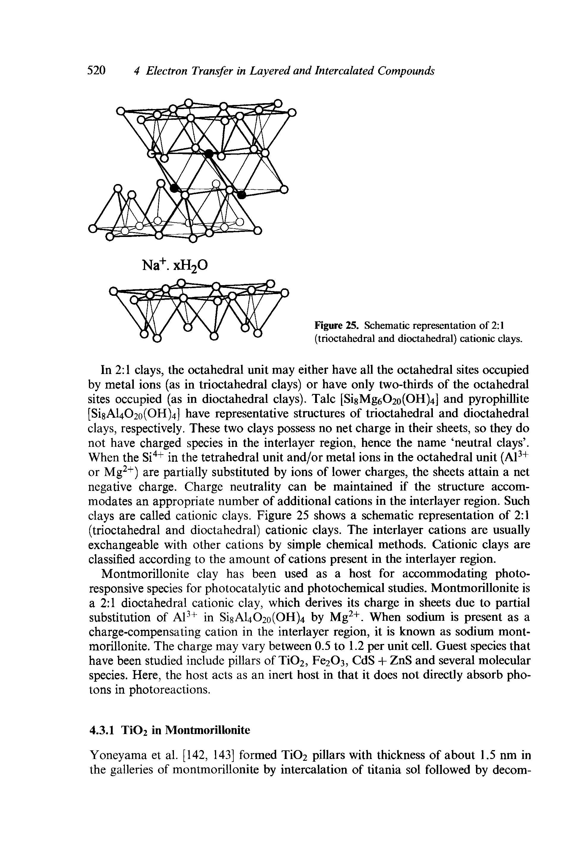 Figure 25. Schematic representation of 2 1 (trioctahedral and dioctahedral) cationic clays.