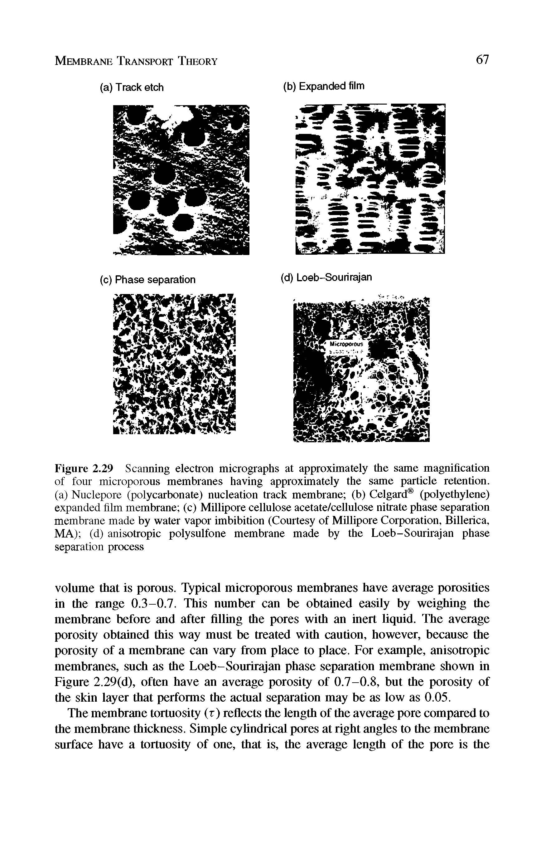 Figure 2.29 Scanning electron micrographs at approximately the same magnification of four microporous membranes having approximately the same particle retention, (a) Nuclepore (polycarbonate) nucleation track membrane (b) Celgard (polyethylene) expanded film membrane (c) Millipore cellulose acetate/cellulose nitrate phase separation membrane made by water vapor imbibition (Courtesy of Millipore Corporation, Billerica, MA) (d) anisotropic polysulfone membrane made by the Loeb-Sourirajan phase separation process...