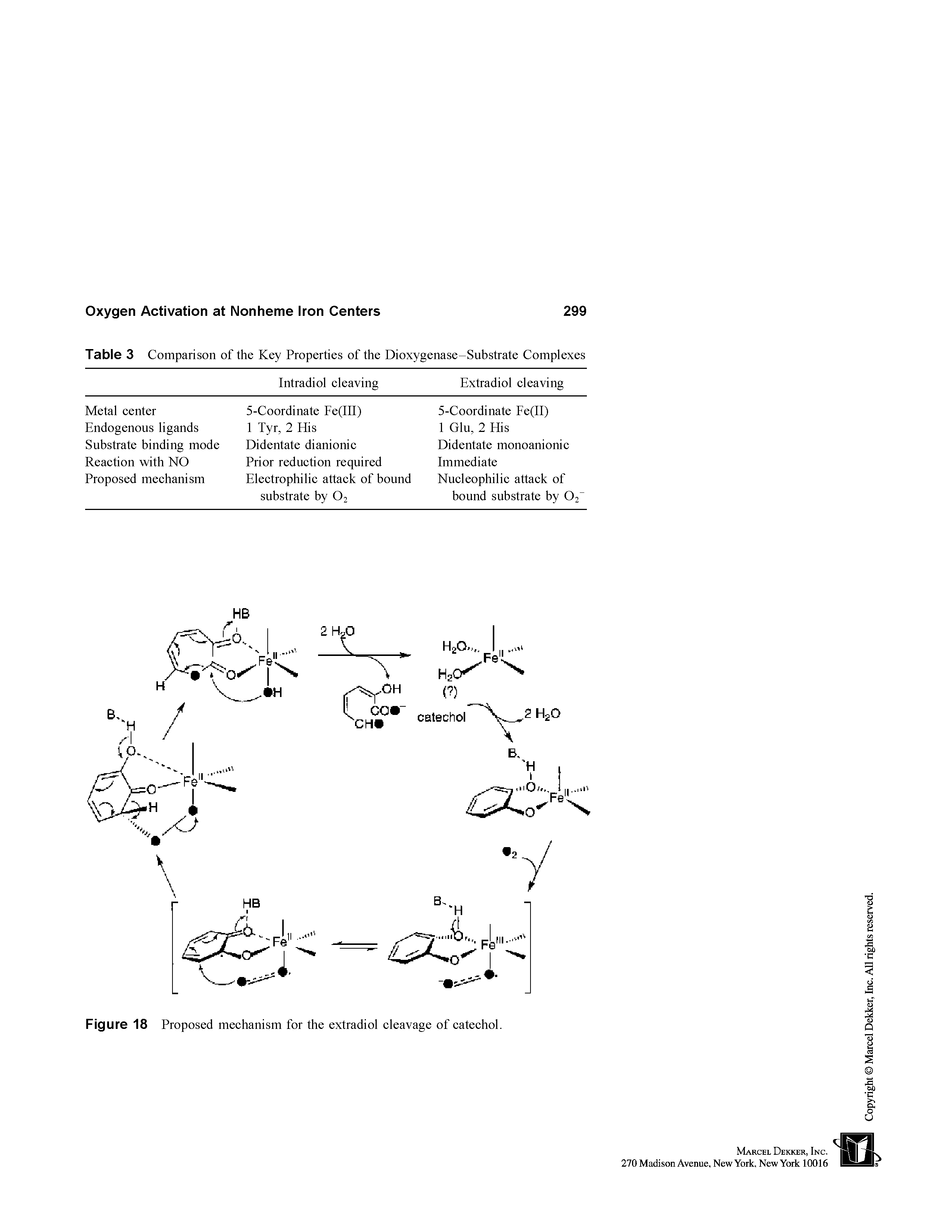 Figure 18 Proposed mechanism for the extradiol cleavage of catechol.