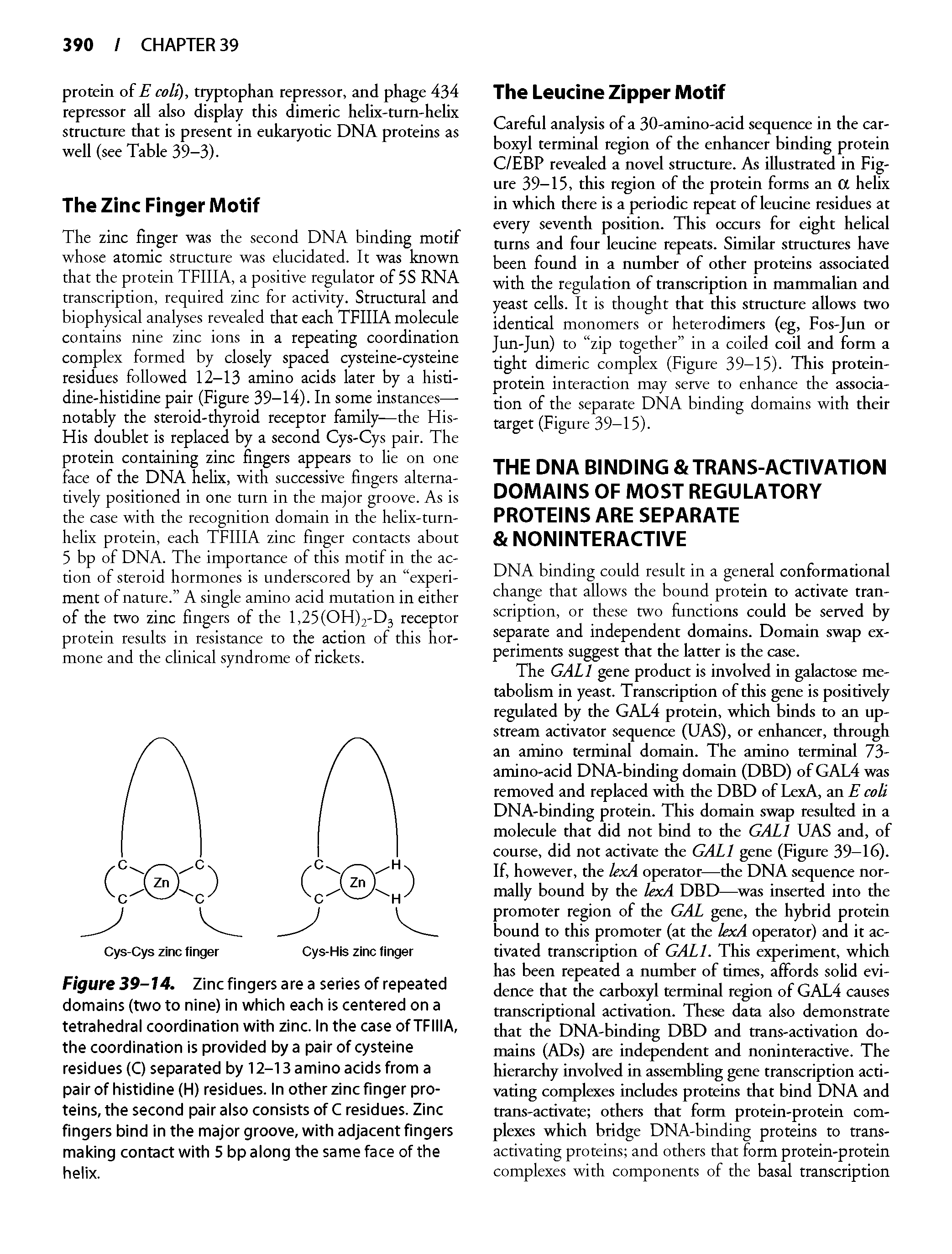 Figure 39-14. Zinc fingers are a series of repeated domains (two to nine) in which each is centered on a tetrahedral coordination with zinc. In the case of TFIIIA, the coordination is provided by a pair of cysteine residues (C) separated by 12-13 amino acids from a pair of histidine (H) residues. In other zinc finger proteins, the second pair also consists of C residues. Zinc fingers bind in the major groove, with adjacent fingers making contact with 5 bp along the same face of the helix.