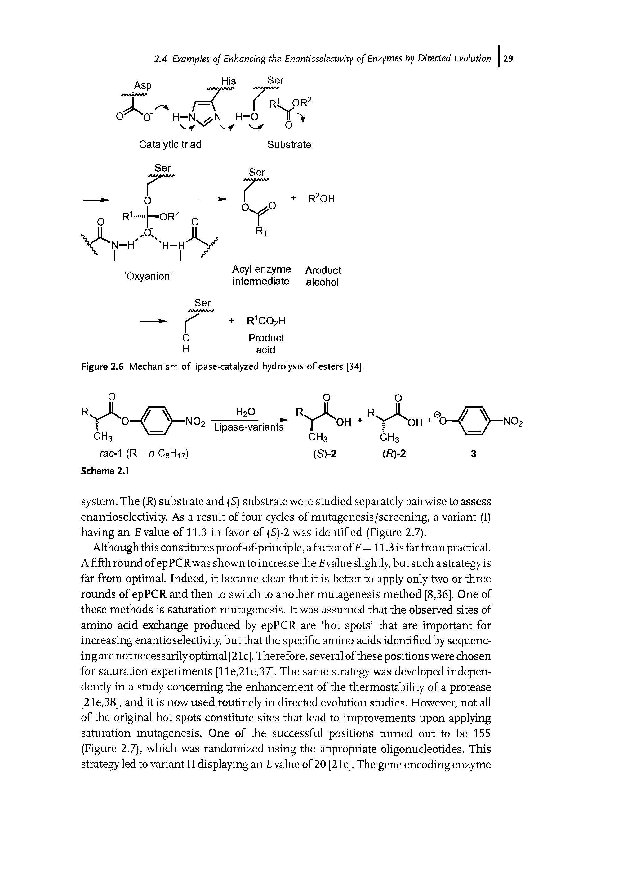 Figure 2.6 Mechanism of lipase-catalyzed hydrolysis of esters [34].