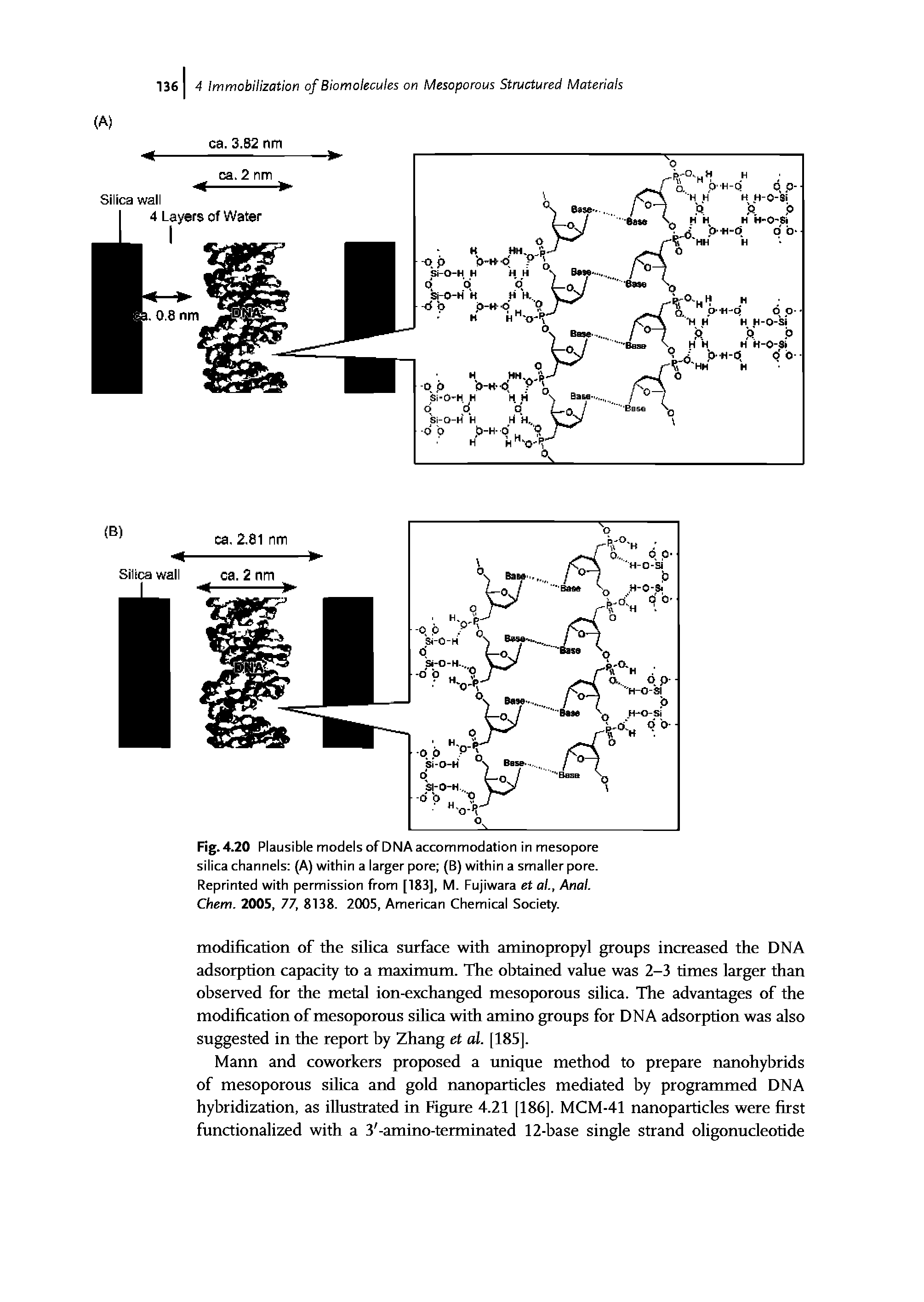 Fig. 4.20 Plausible models of DNA accommodation in mesopore silica channels (A) within a larger pore (B) within a smaller pore.