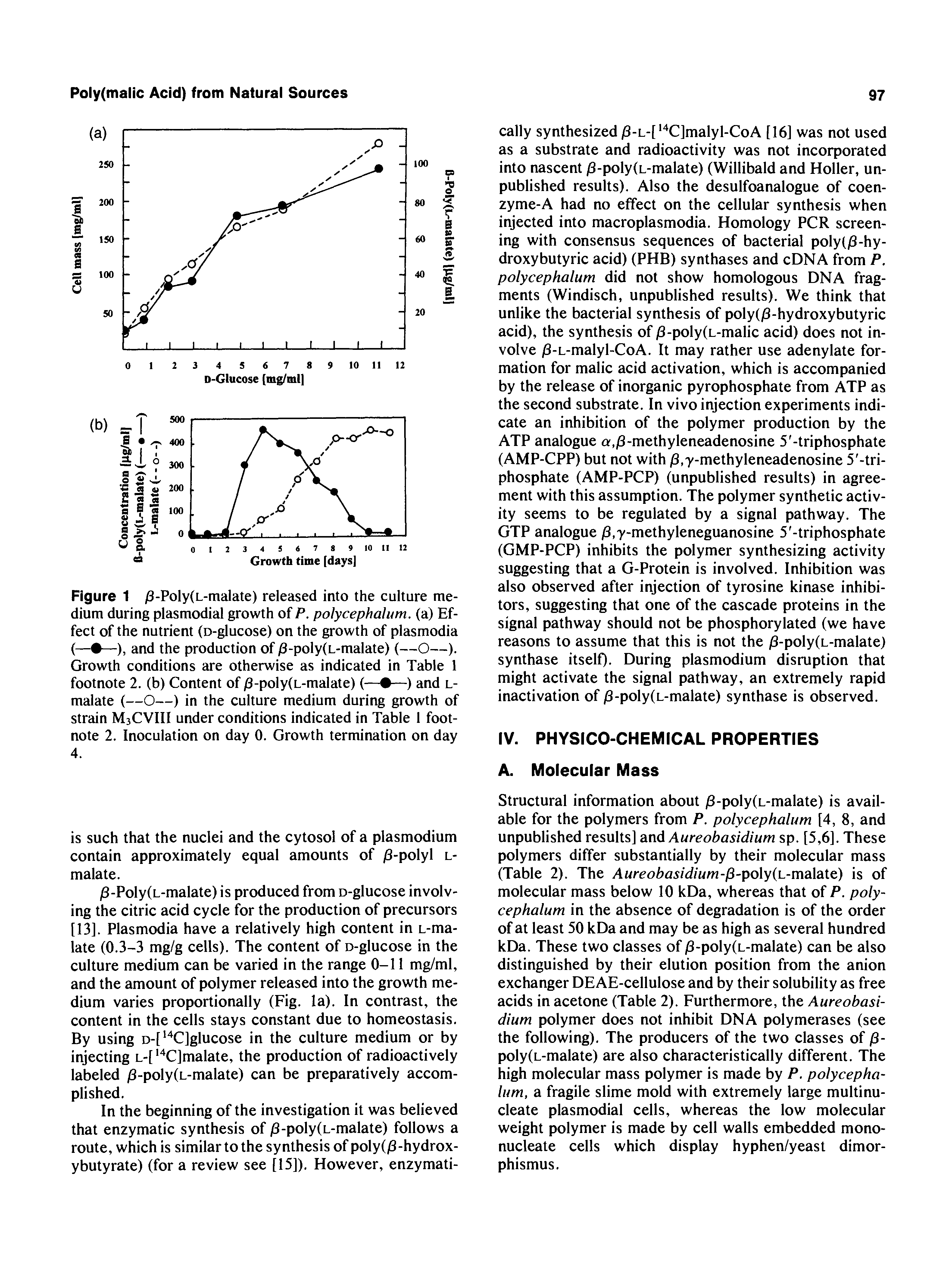 Figure 1 )S-Poly(L-malate) released into the culture medium during plasmodial growth of P. polycephalum. (a) Effect of the nutrient (o-glucose) on the growth of plasmodia (— —), and the production of )S-poly(L-malate) (—O—). Growth conditions are otherwise as indicated in Table 1 footnote 2. (b) Content of )S-poly(L-malate) (— —) and l-malate (—O—) in the culture medium during growth of strain M3CVIII under conditions indicated in Table 1 footnote 2. Inoculation on day 0. Growth termination on day 4.