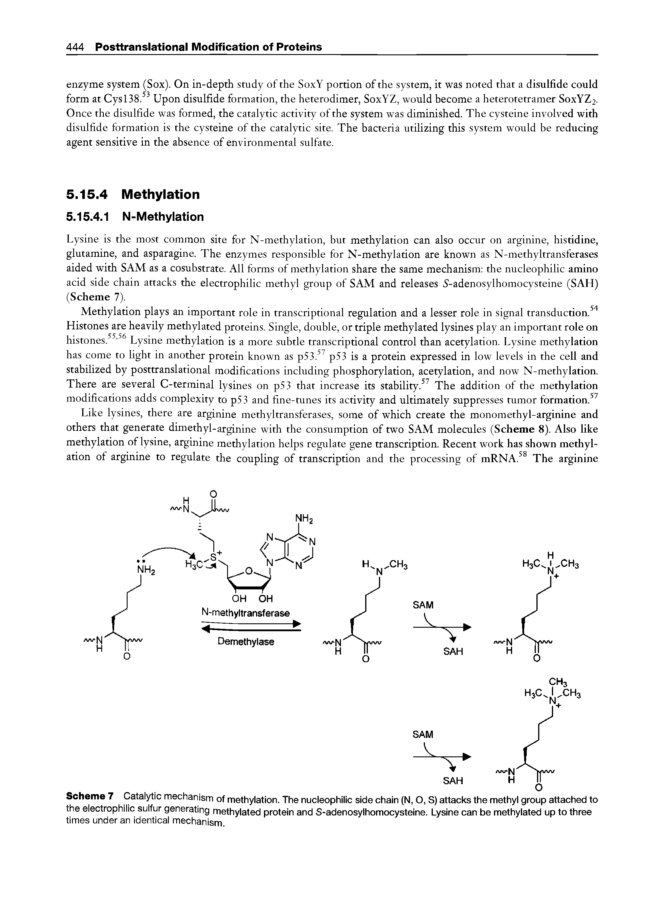 Scheme 7 Catalytic mechanism of methylation. The nucleophilic side chain (N, O, S) attacks the methyl group attached to the electrophilic sulfur generating methylated protein and S-adenosylhomocysteine. Lysine can be methylated up to three...