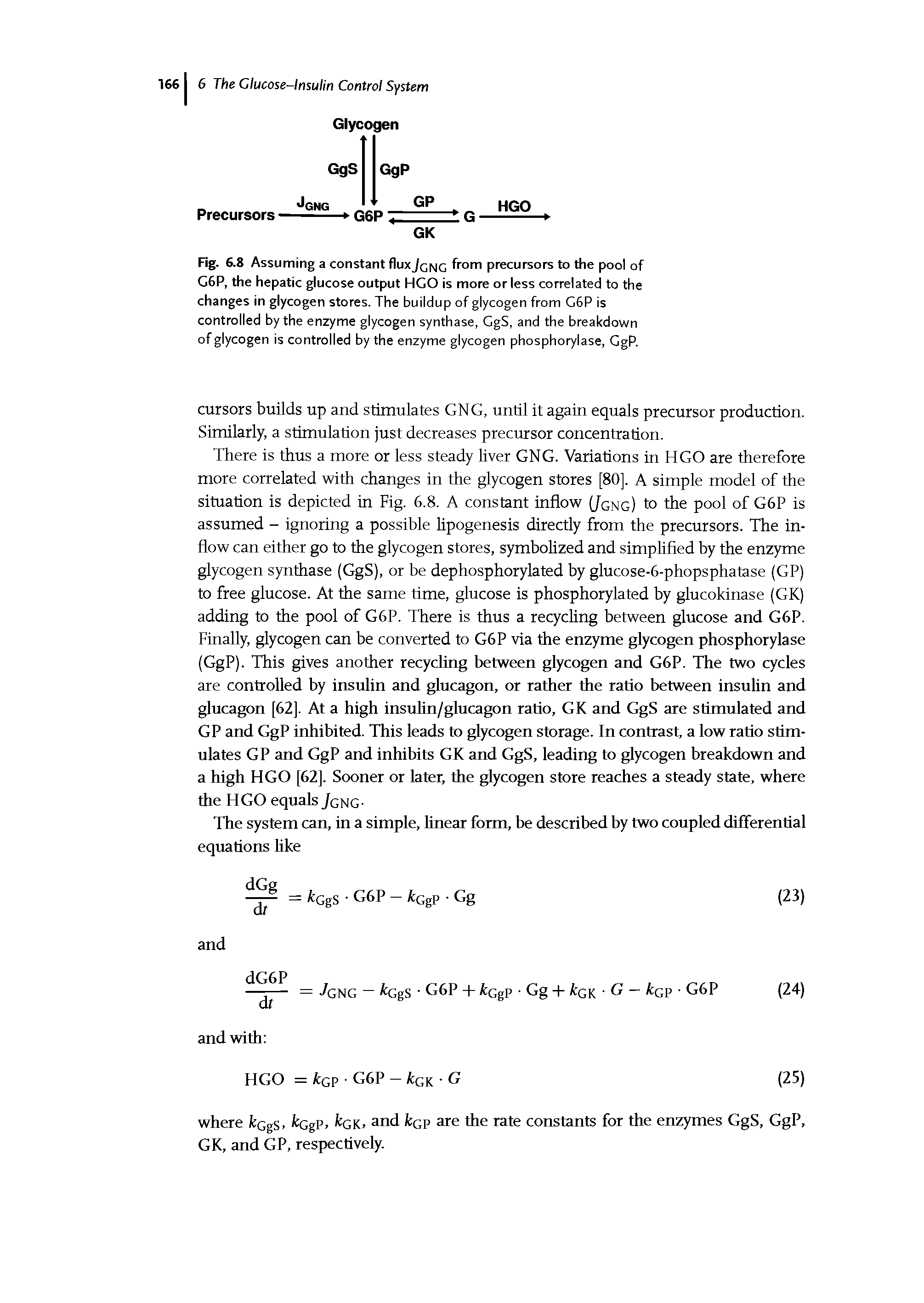 Fig. 6.8 Assuming a constant fluxJcNC from precursors to the pool of G6P, the hepatic glucose output HGO is more or less correlated to the changes in glycogen stores. The buildup of glycogen from G6P is controlled by the enzyme glycogen synthase, GgS, and the breakdown of glycogen is controlled by the enzyme glycogen phosphorylase, GgP.