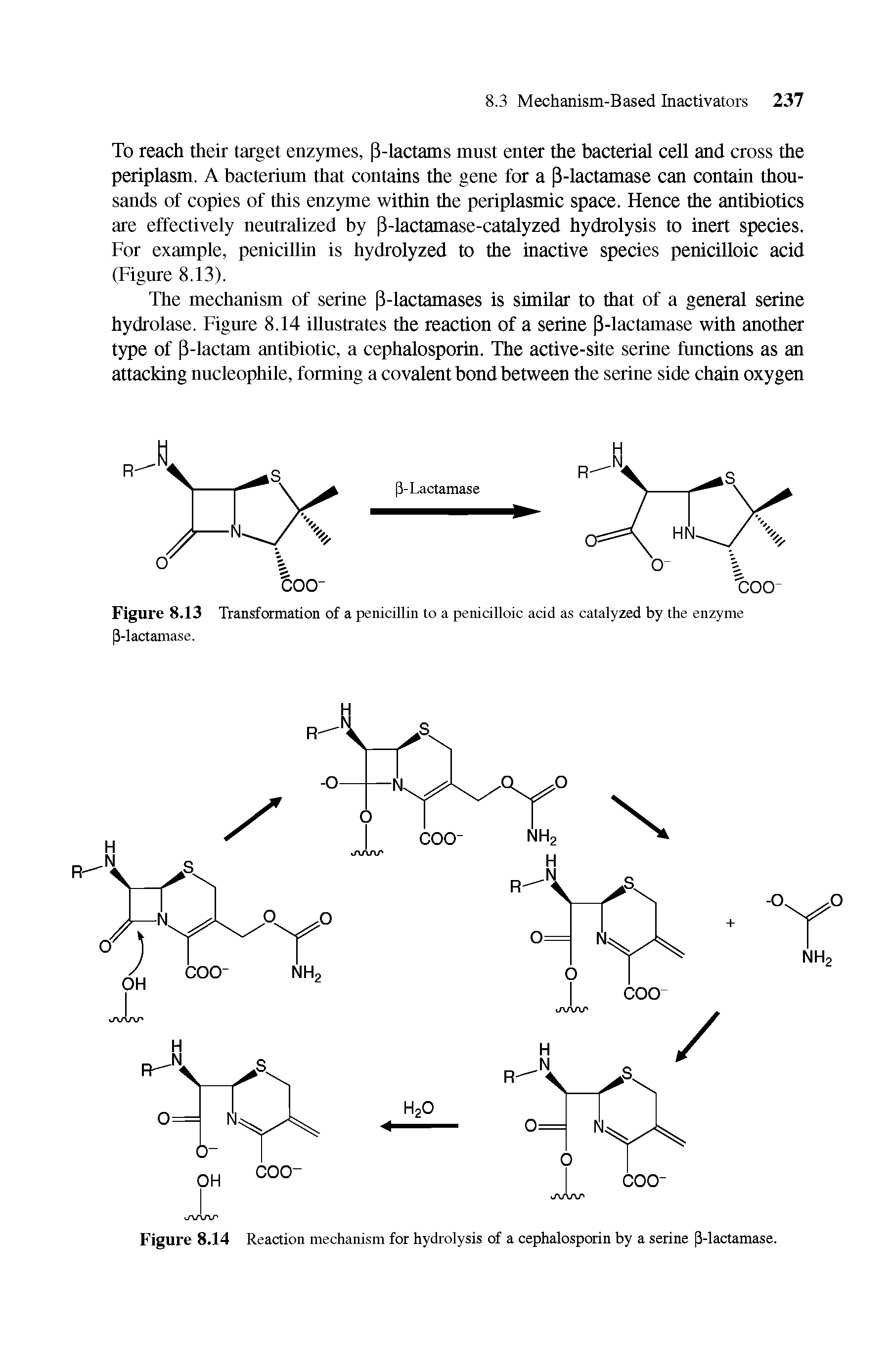 Figure 8.14 Reaction mechanism for hydrolysis of a cephalosporin by a serine 3-lactamase.