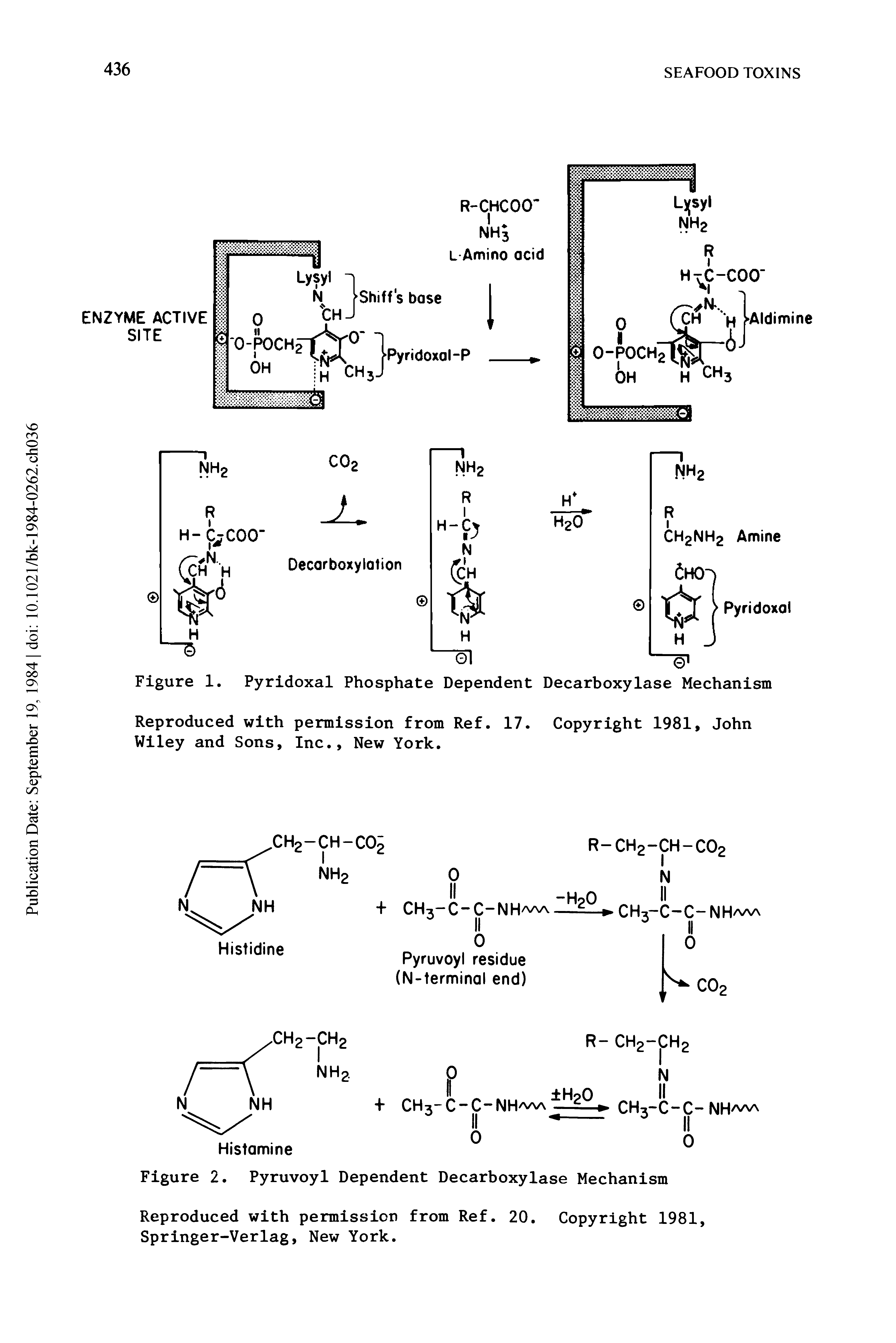 Figure 1. Pyridoxal Phosphate Dependent Decarboxylase Mechanism...