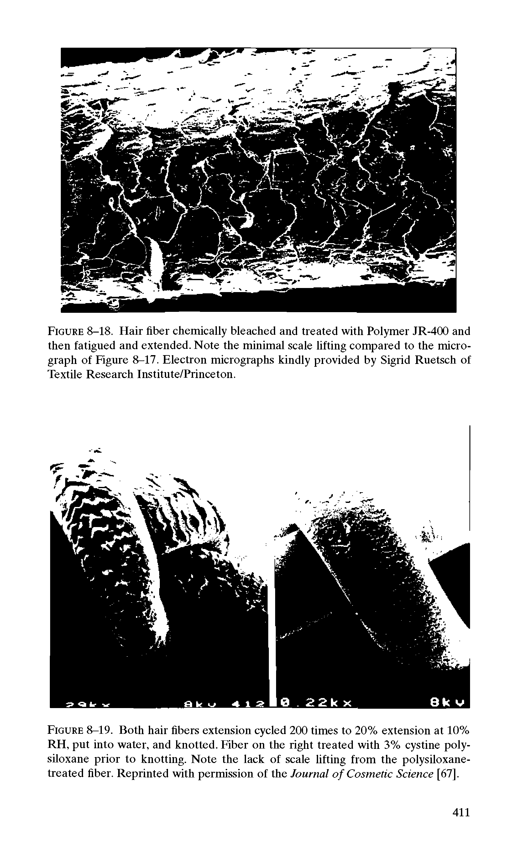 Figure 8-19. Both hair fibers extension cycled 200 times to 20% extension at 10% RH, put into water, and knotted. Fiber on the right treated with 3% cystine poly-siloxane prior to knotting. Note the lack of scale lifting from the polysiloxane-treated fiber. Reprinted with permission of the Journal of Cosmetic Science [67].