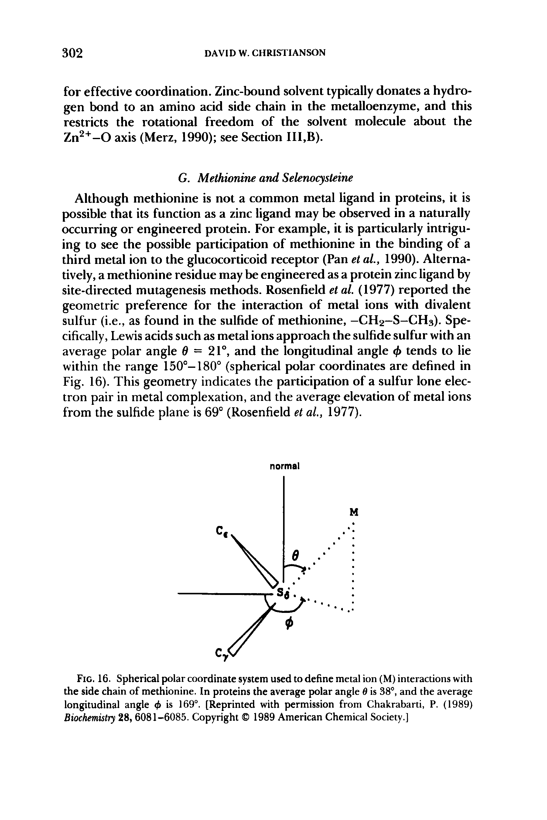 Fig. 16. Spherical polar coordinate system used to define metal ion (M) interactions with the side chain of methionine. In proteins the average polar angle d is 38°, and the average longitudinal angle <j> is 169°. [Reprinted with permission from Chakrabarti, P. (1989) Biochemistry 28, 6081-6085. Copyright 1989 American Chemical Society.]...