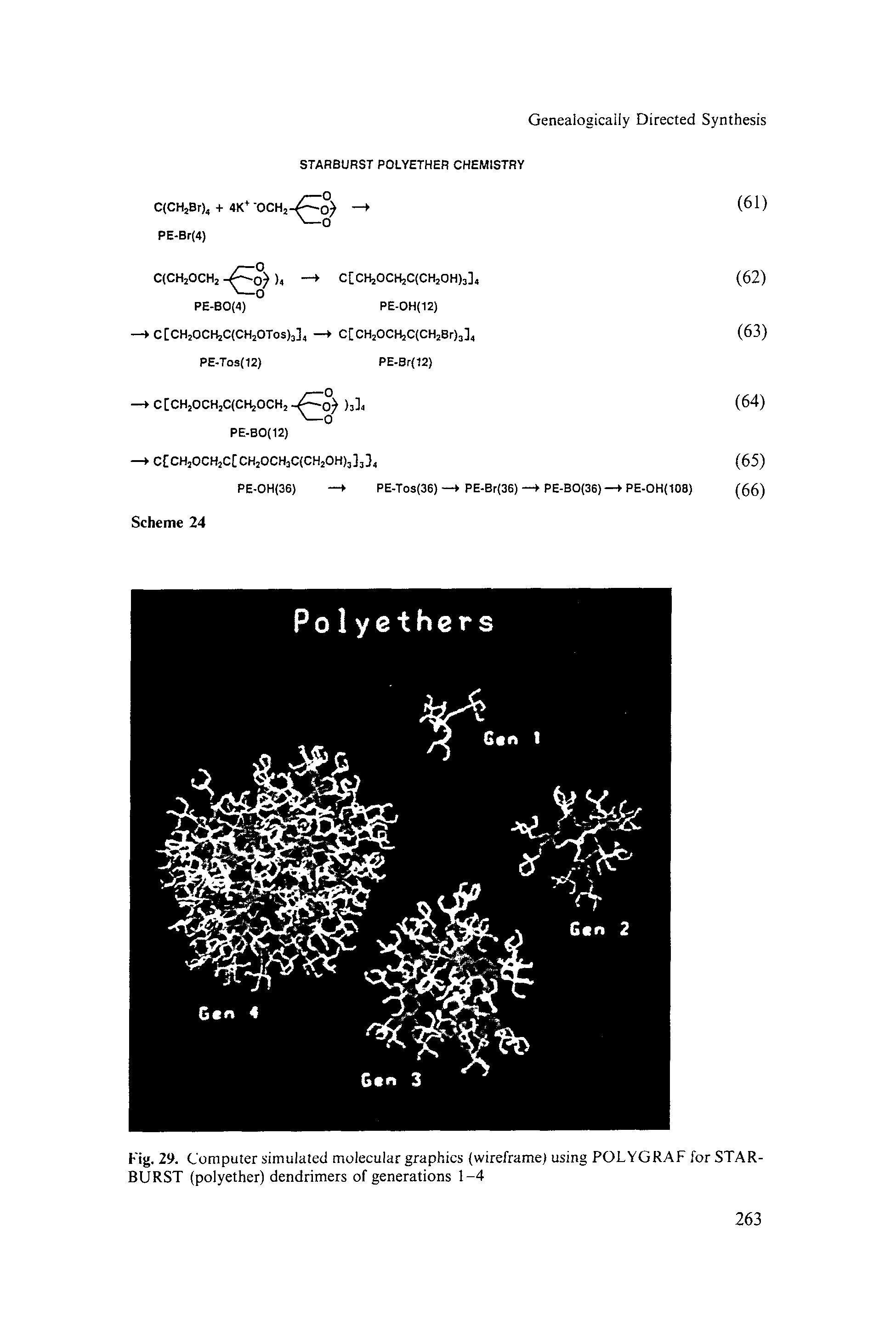 Fig. 29. Computer simulated molecular graphics (wireframe) using POLYGRAF for STAR-BURST (polyether) dendrimers of generations 1-4...
