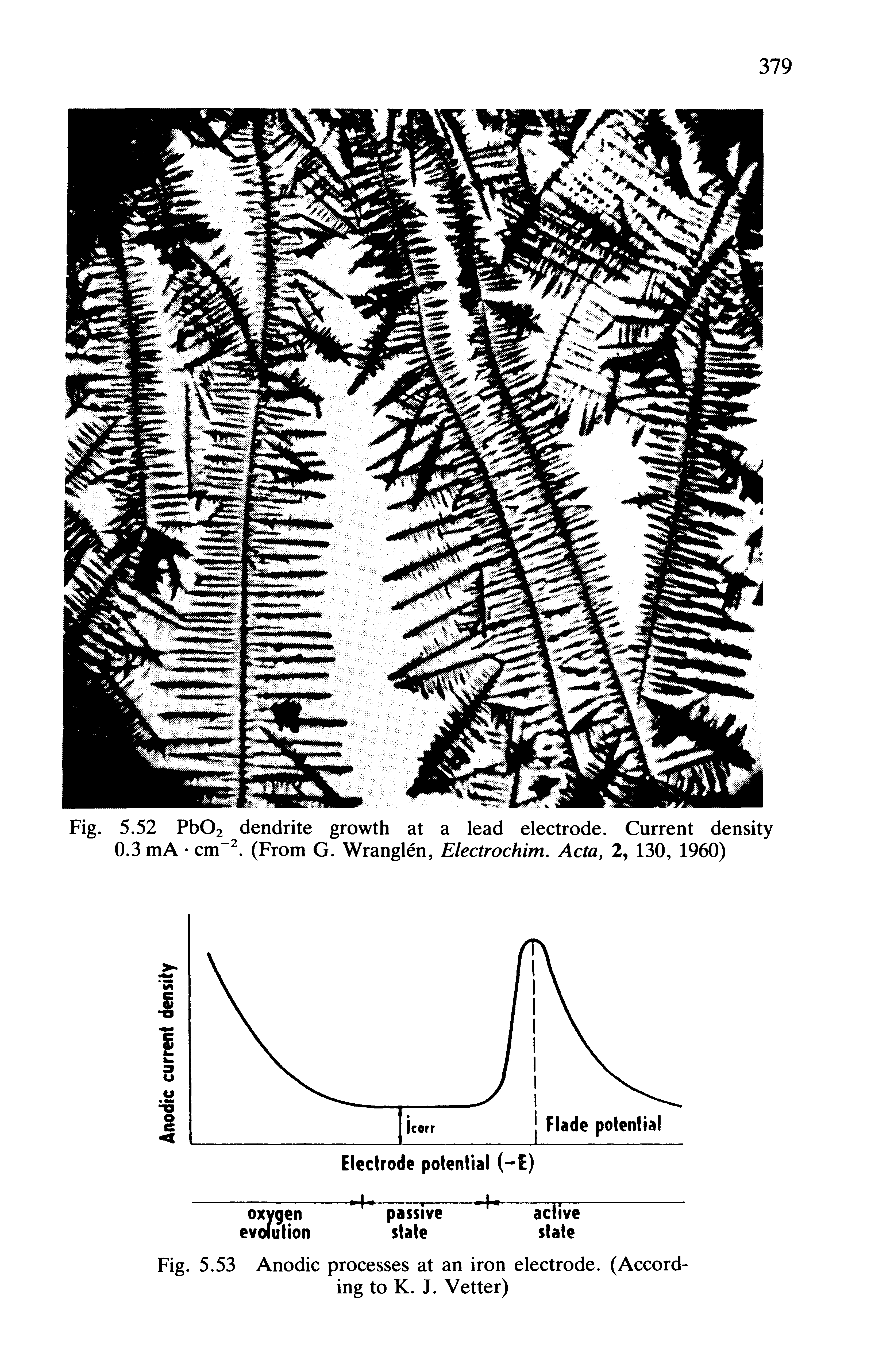 Fig. 5.53 Anodic processes at an iron electrode. (According to K. J. Vetter)...