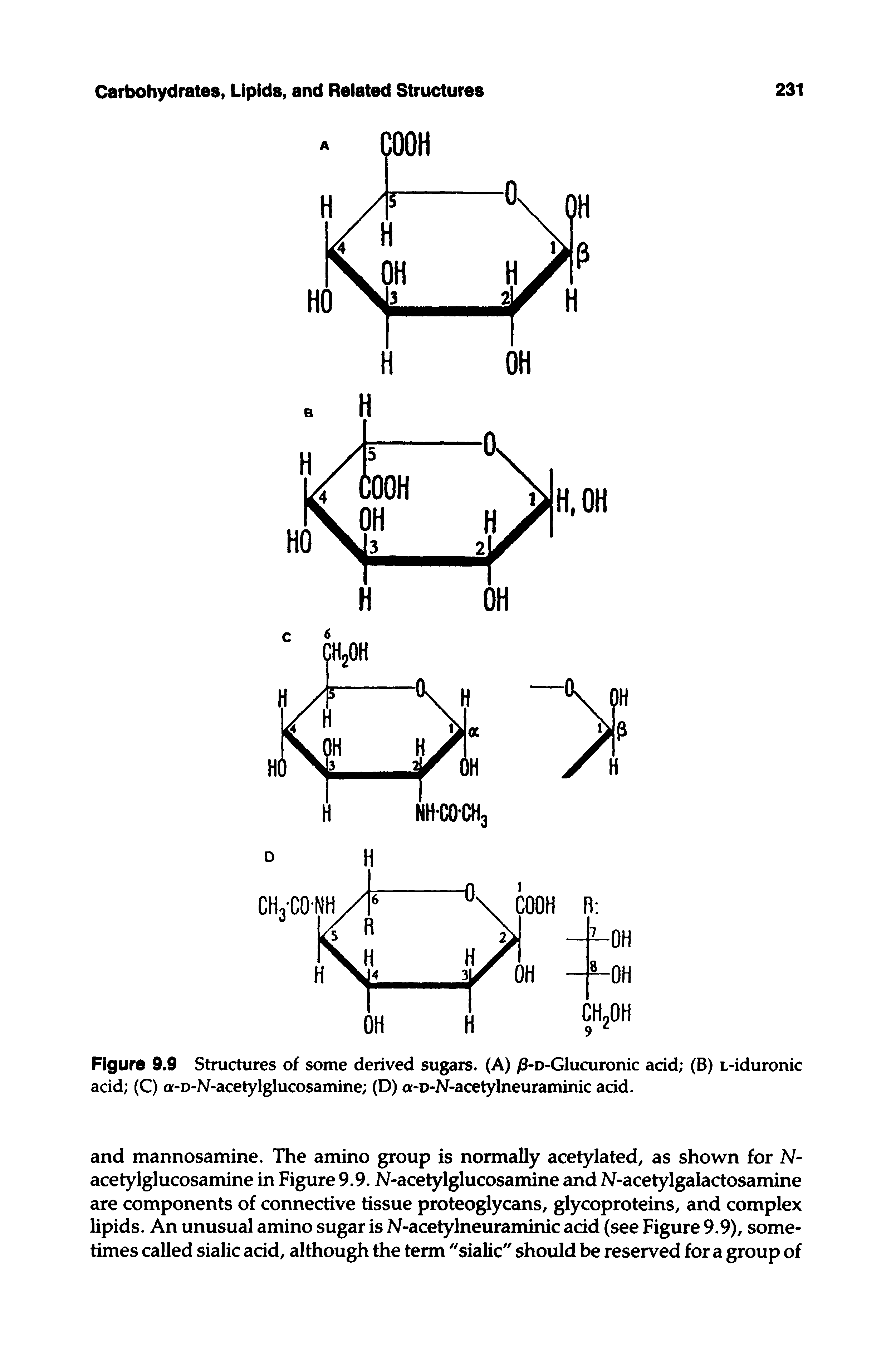 Figure 9.9 Structures of some derived sugars. (A) /3-D-Glucuronic acid (B) L-iduronic acid (C) a-D-N-acetylglucosamine (D) a-D-N-acetylneuraminic acid.