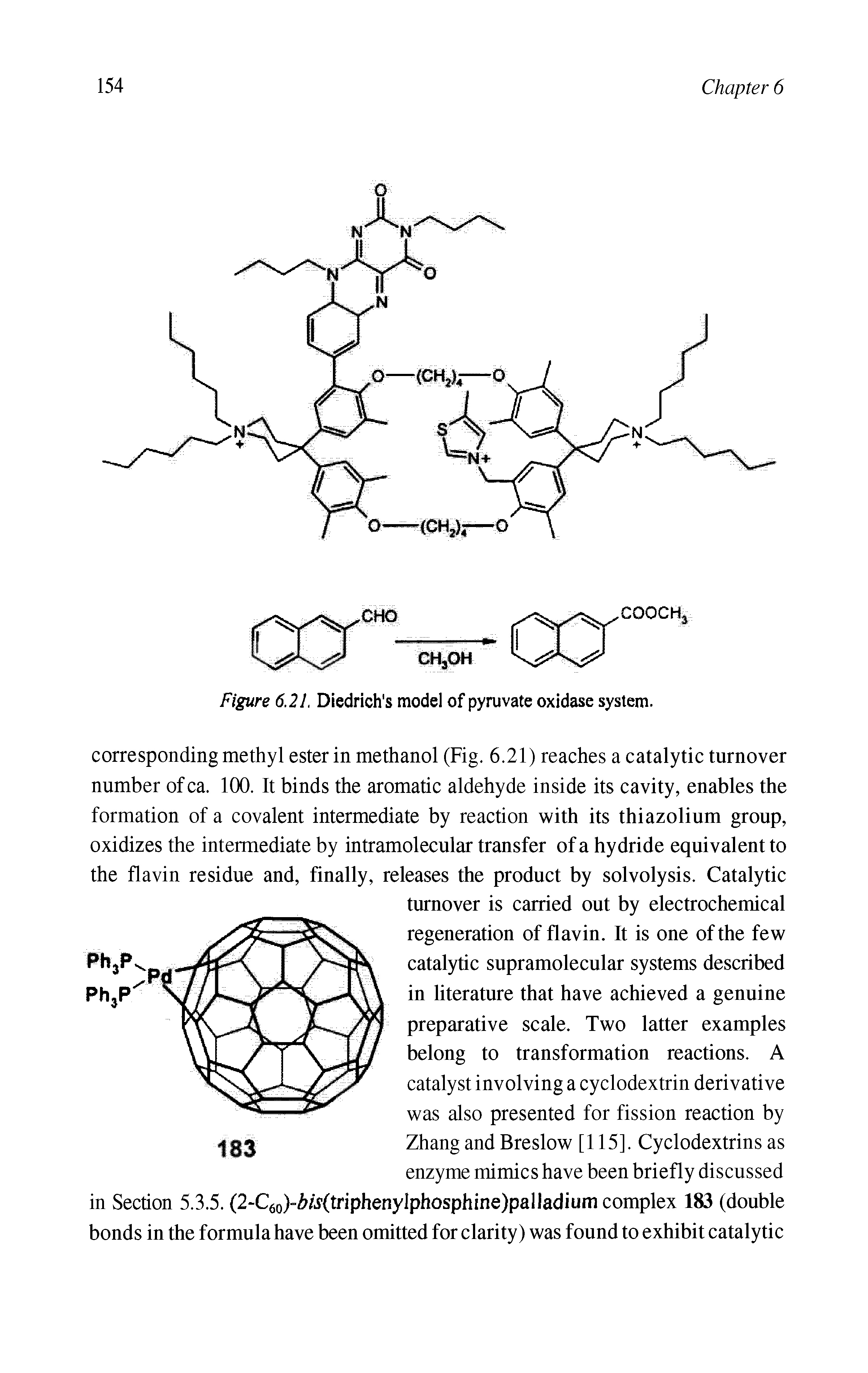 Figure 6.21. Diedrich s model of pyruvate oxidase system.