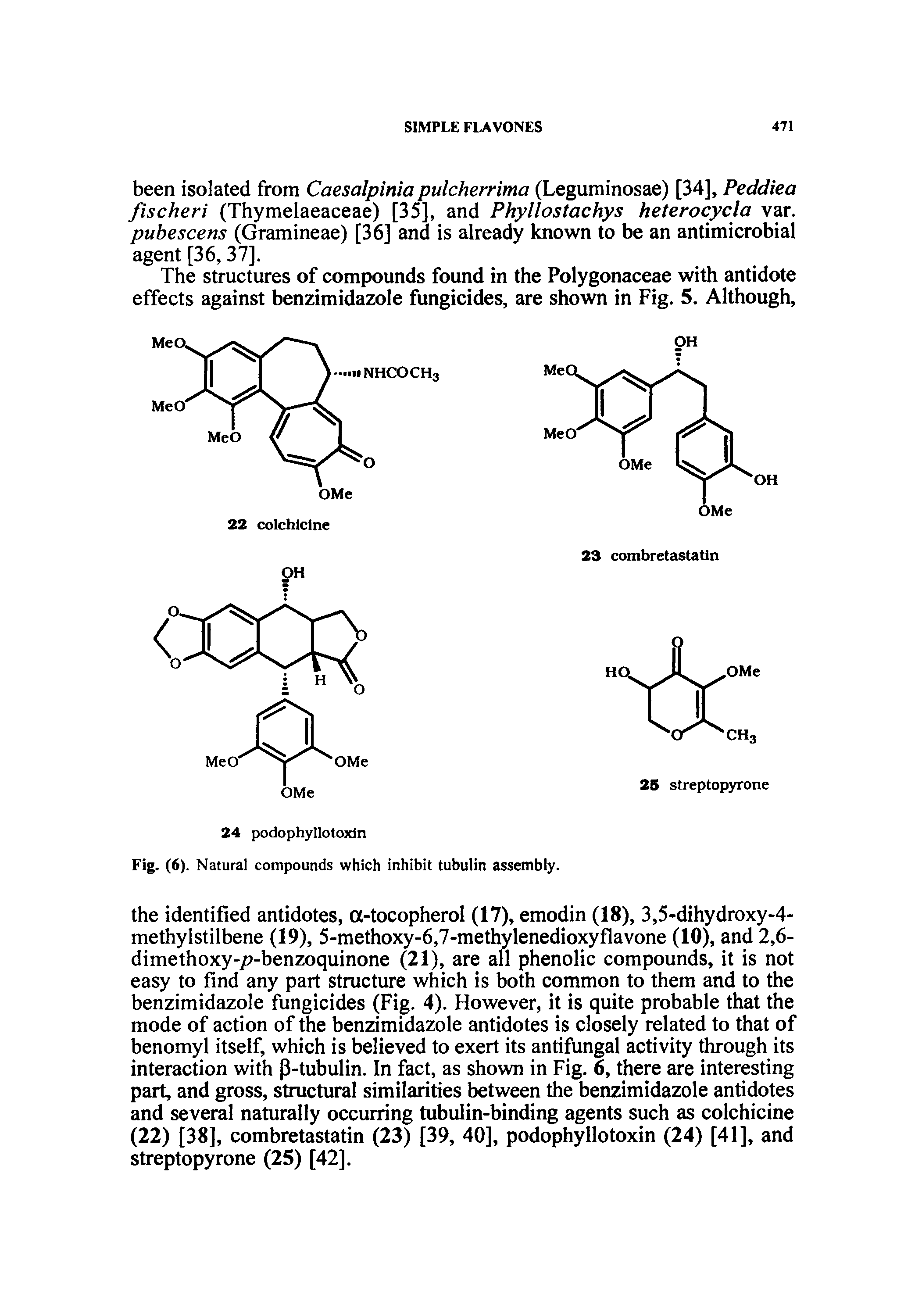 Fig. (6). Natural compounds which inhibit tubulin assembly.