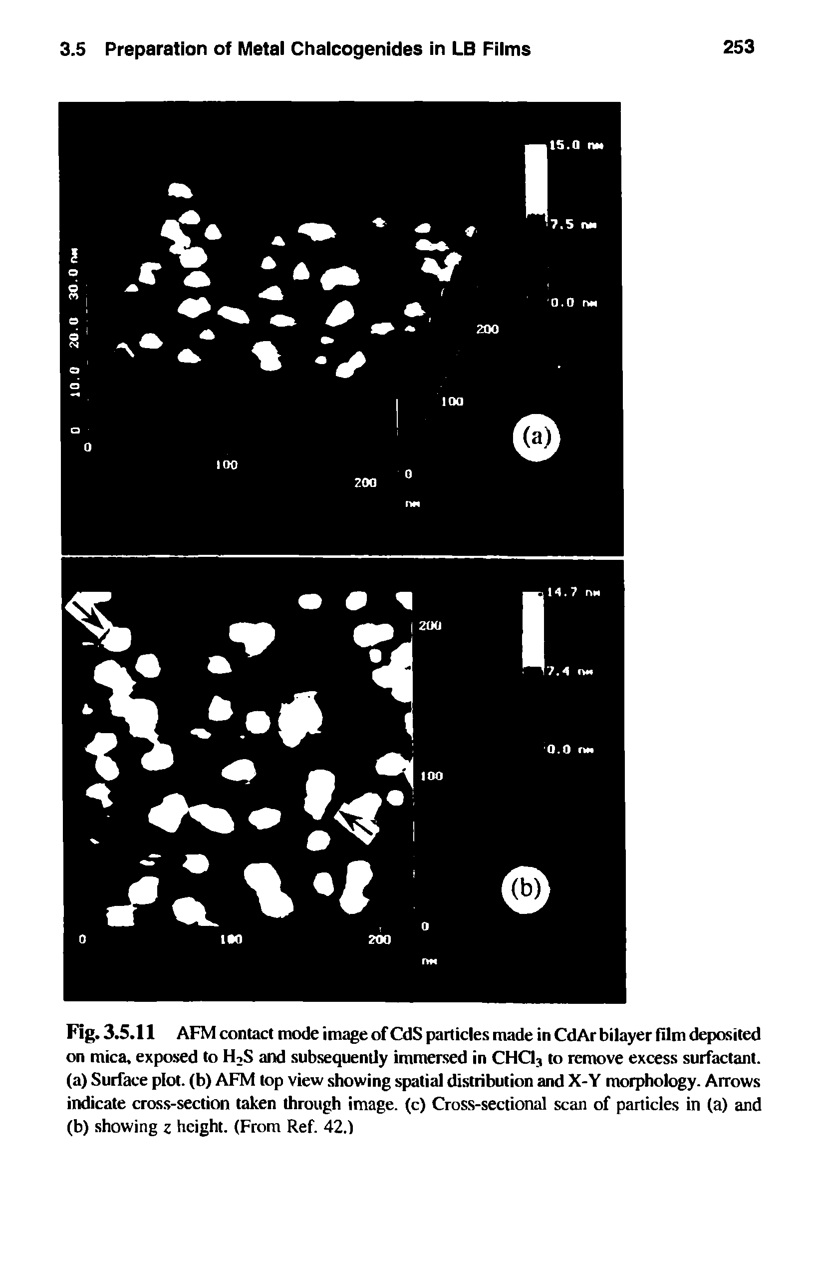Fig. 3.5.11 AFM contact mode image of CdS particles made in CdAr bilayer film deposited on mica, exposed to H2S and subsequently immersed in CHC13 to remove excess surfactant.