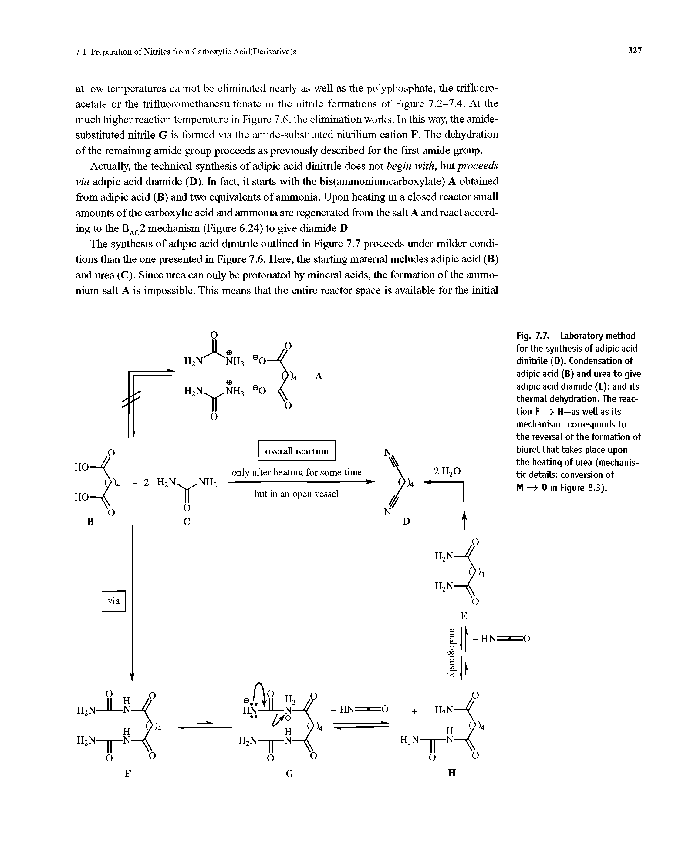 Fig. 7.7. Laboratory method for the synthesis of adipic acid dinitrile (D). Condensation of adipic acid (B) and urea to give adipic acid diamide (E) and its thermal dehydration. The reaction F — H—as well as its mechanism—corresponds to the reversal of the formation of biuret that takes place upon the heating of urea (mechanistic details conversion of M —> 0 in Figure 8.3).