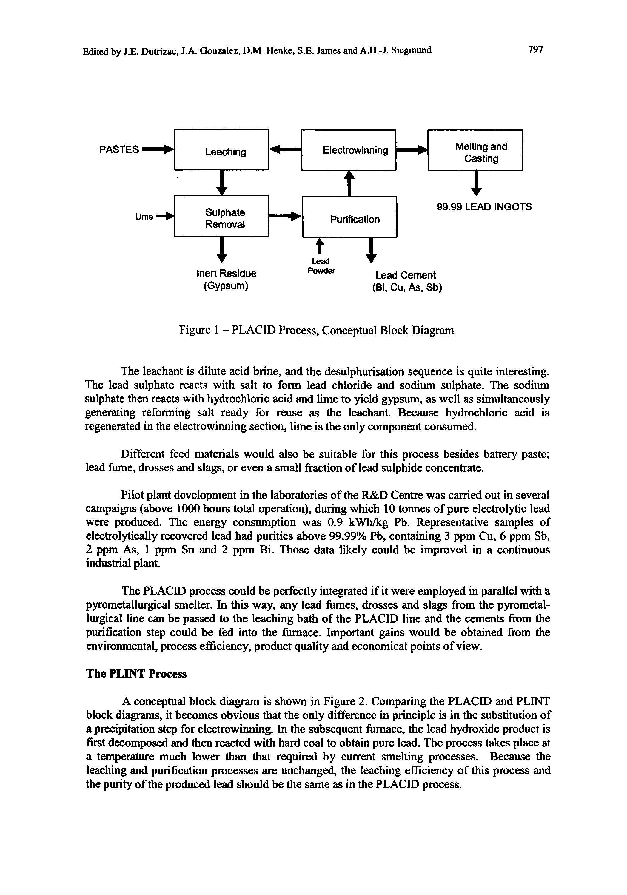 Figure 1 - PLACID Process, Conceptual Block Diagram...