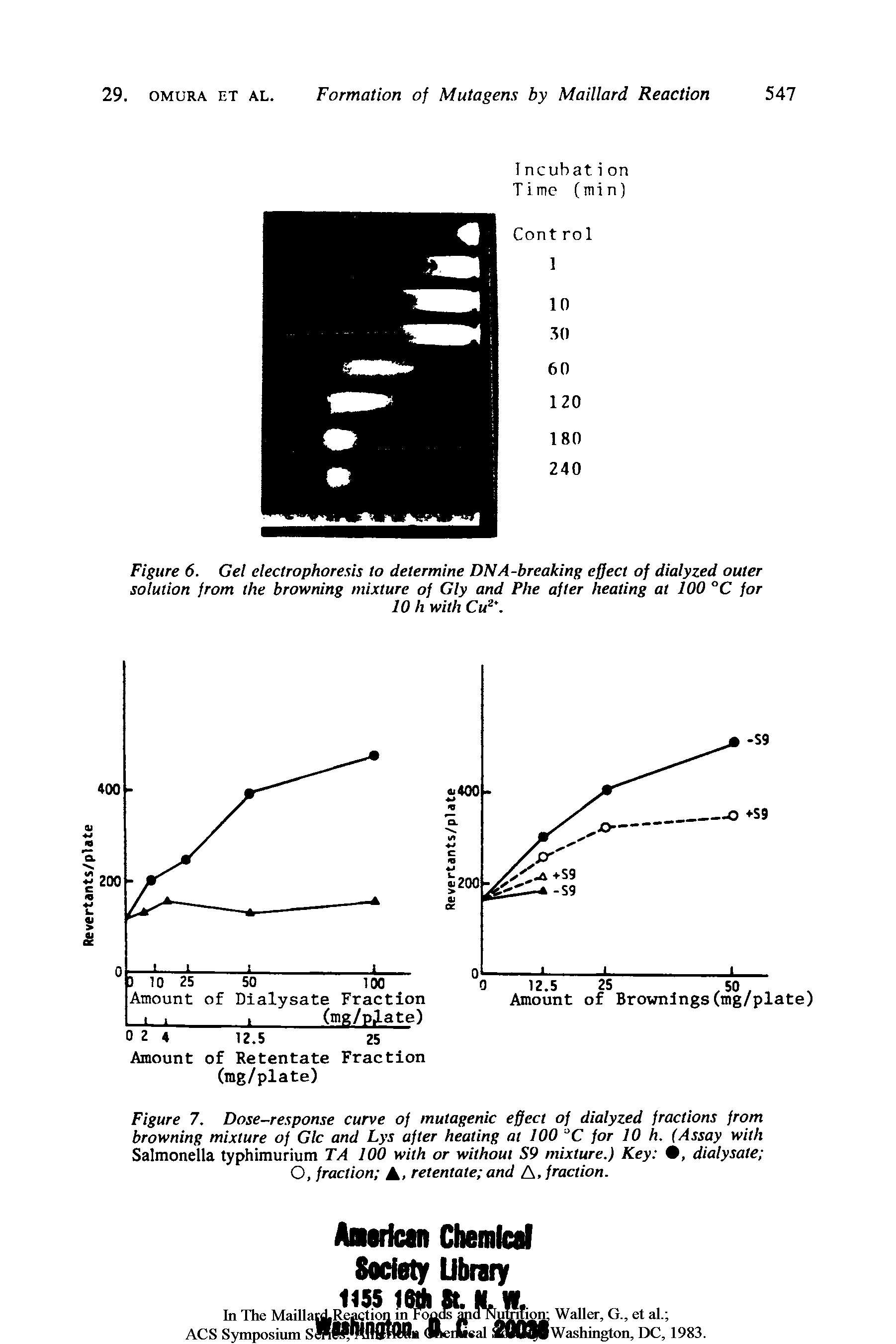 Figure 7. Dose-response curve of mutagenic effect of dialyzed fractions from browning mixture of Glc and Lys after heating at 100 C for 10 h. (Assay with Salmonella typhimurium TA 100 with or without S9 mixture.) Key , dialysate O, fraction A. retentate and A, fraction.