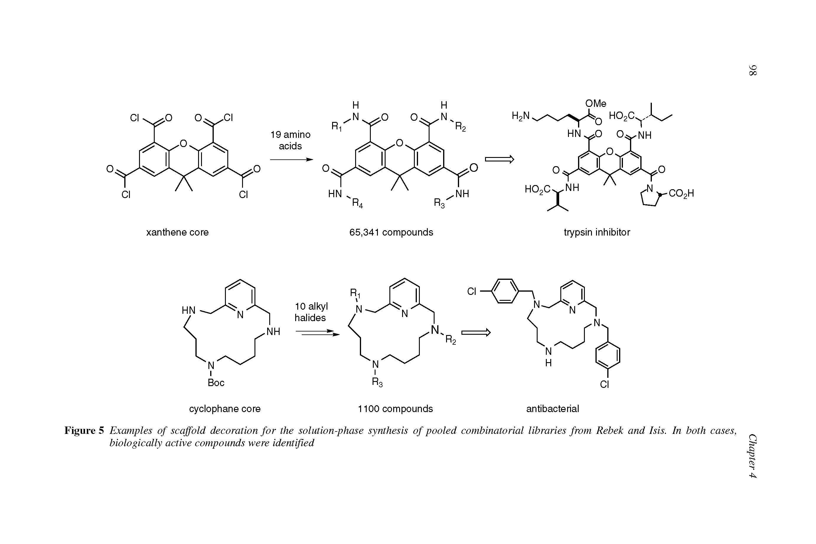 Figure 5 Examples of scaffold decoration for the solution-phase synthesis of pooled combinatorial libraries from Rebek and Isis. In both cases, biologically active compounds were identified...
