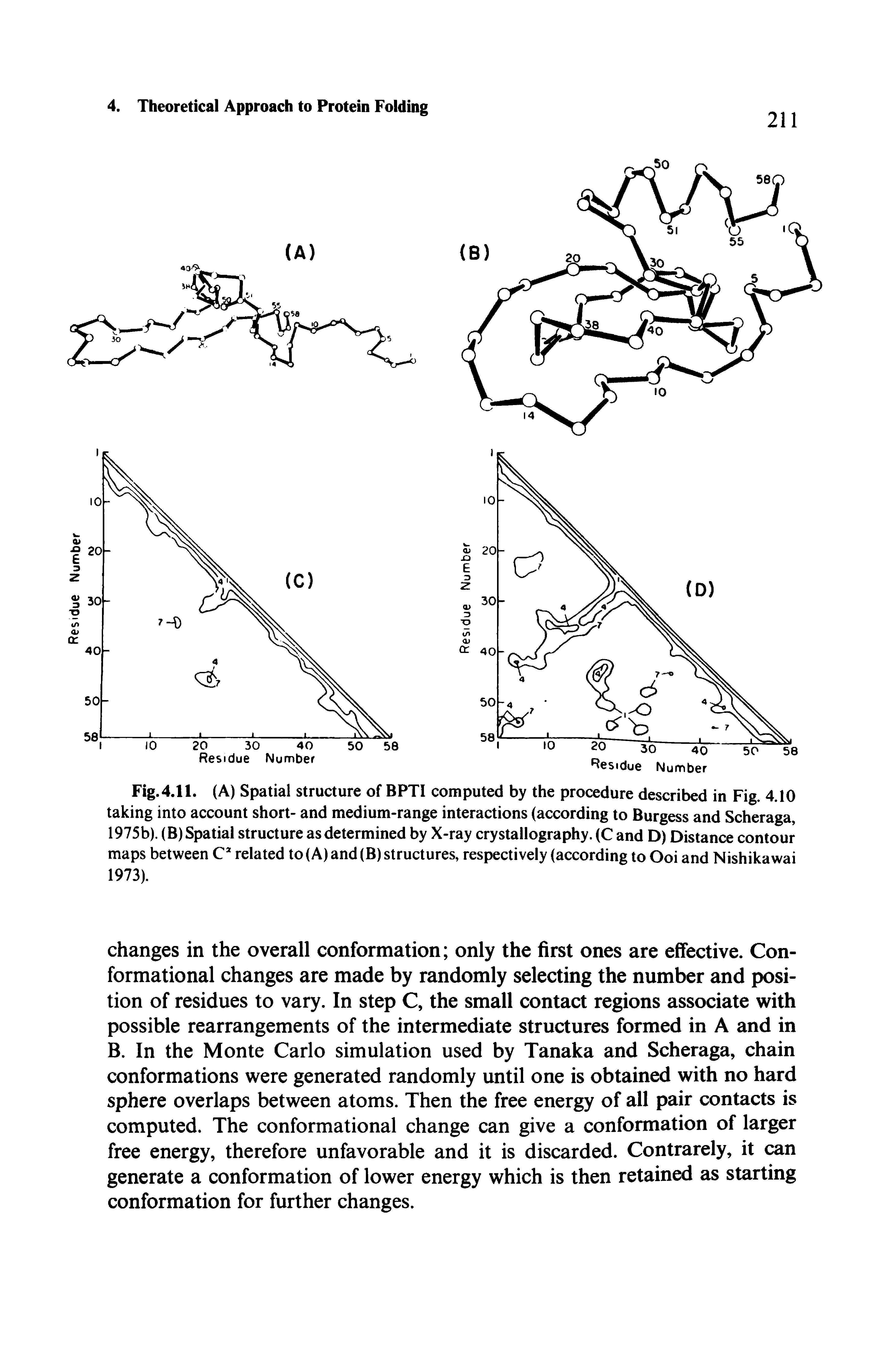 Fig.4.11. (A) Spatial structure of BPTI computed by the procedure described in Fig. 4.10 taking into account short- and medium-range interactions (according to Burgess and Scheraga, 1975b). (B) Spatial structure as determined by X-ray crystallography. (C and D) Distance contour maps between C related to (A) and (B) structures, respectively (according to Ooi and Nishikawai 1973).