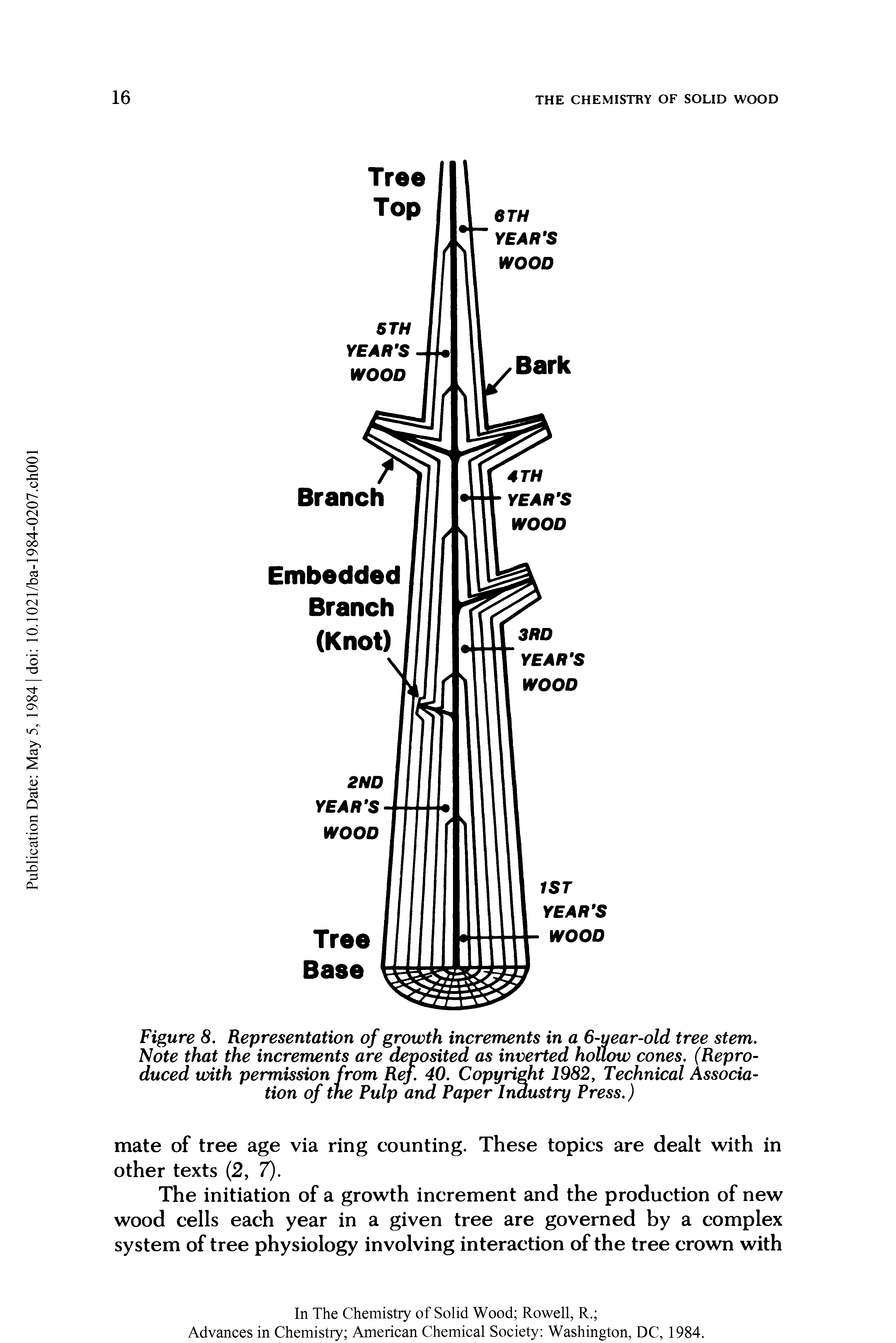 Figure 8. Representation of growth increments in a 6-tjear-old tree stem. Note that the increments are deposited as inverted hollow cones. (Reproduced with permission from Ref. 40. Copyright 1982, Technical Association of the Pulp and Paper Industry Press.)...