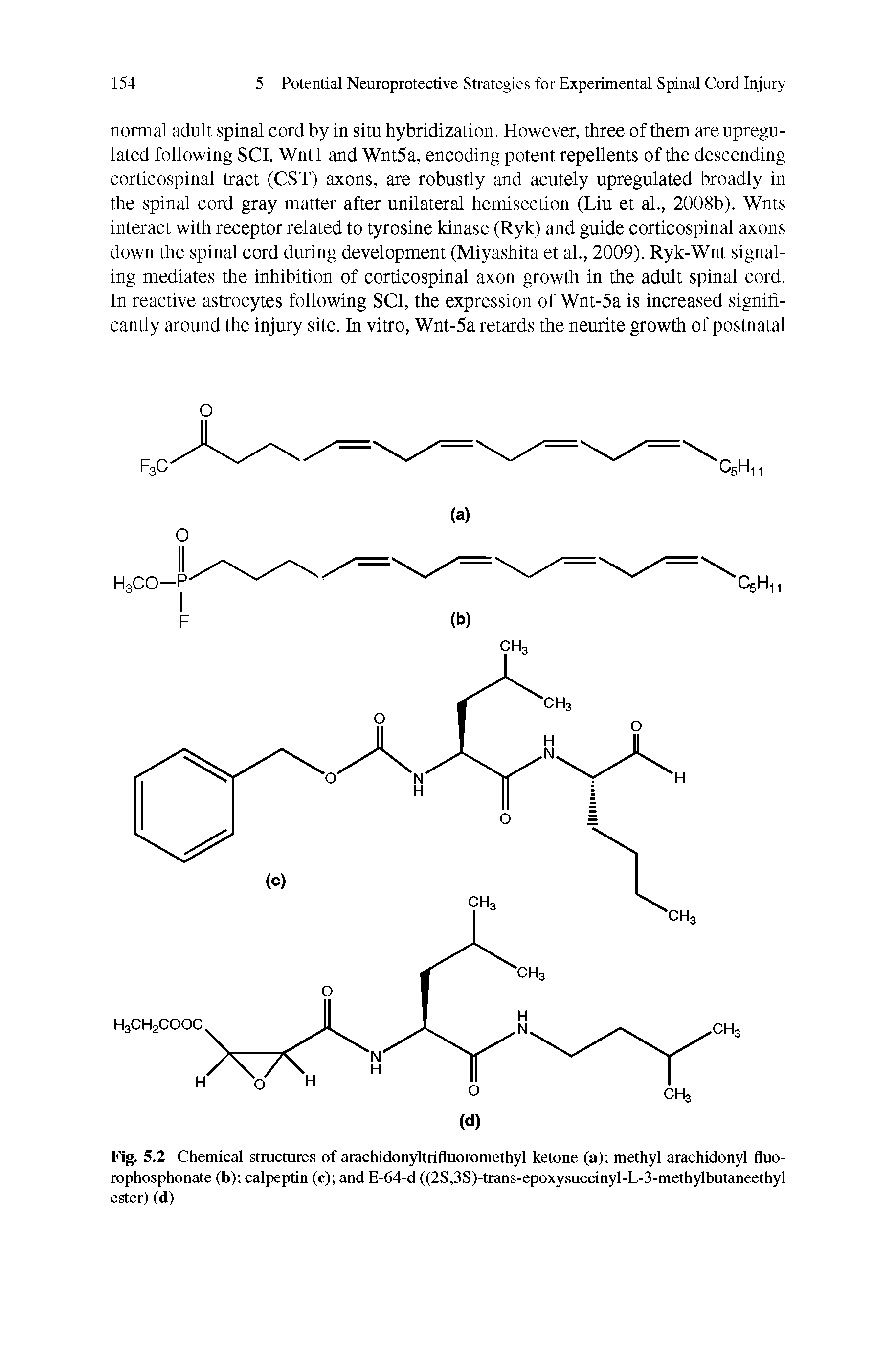 Fig. 5.2 Chemical structures of arachidonyltrifluoromethyl ketone (a) methyl arachidonyl fluo-rophosphonate (b) calpeptin (c) and E-64-d ((2S,3S)-trans-epoxysuccinyl-L-3-methylbutaneethyl ester) (d)...