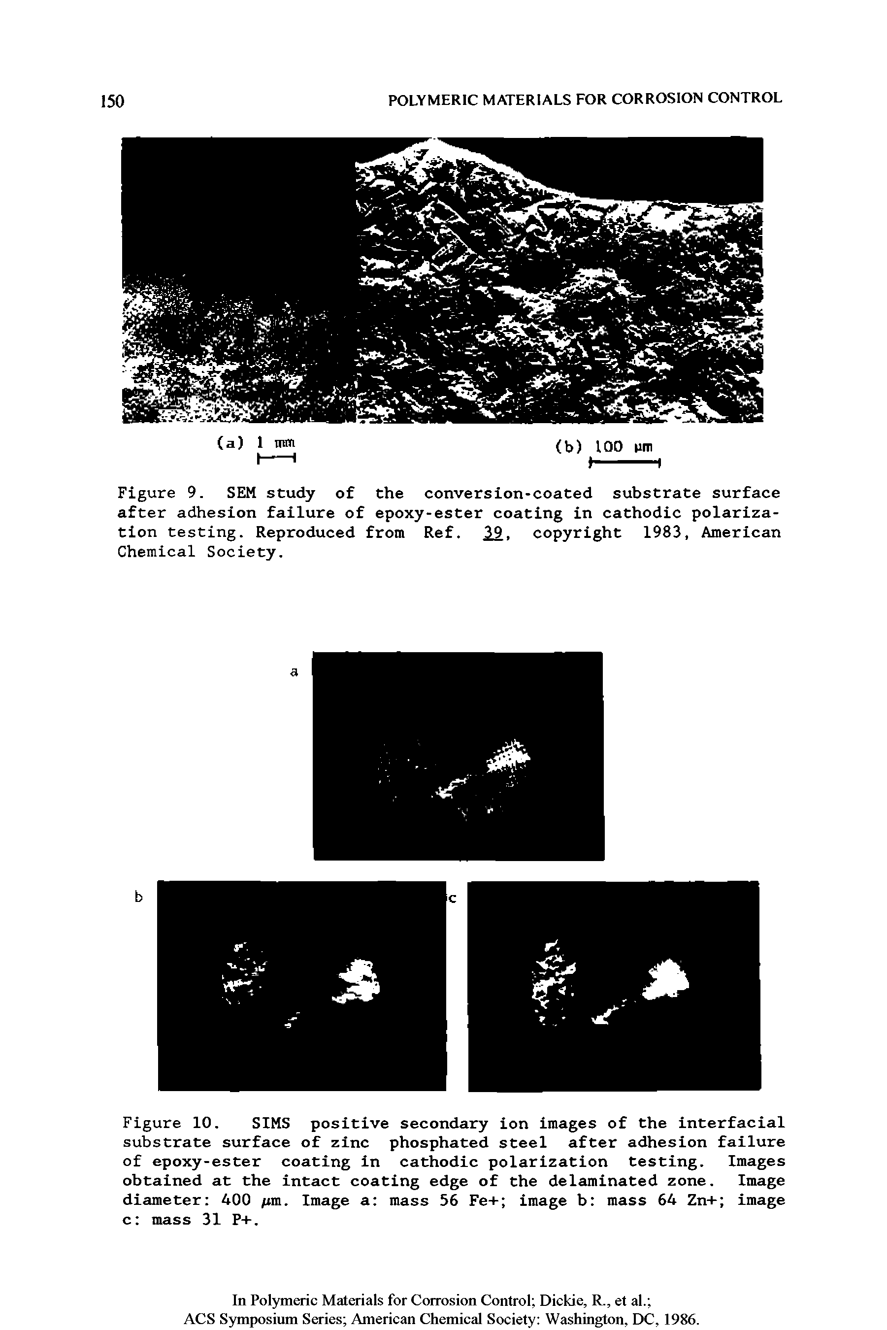 Figure 10. SIMS positive secondary ion images of the interfacial substrate surface of zinc phosphated steel after adhesion failure of epoxy-ester coating in cathodic polarization testing. Images obtained at the intact coating edge of the delaminated zone. Image diameter 400 fm. Image a mass 55 Fe+ image b mass 54 Zn+ image c mass 31 P+.