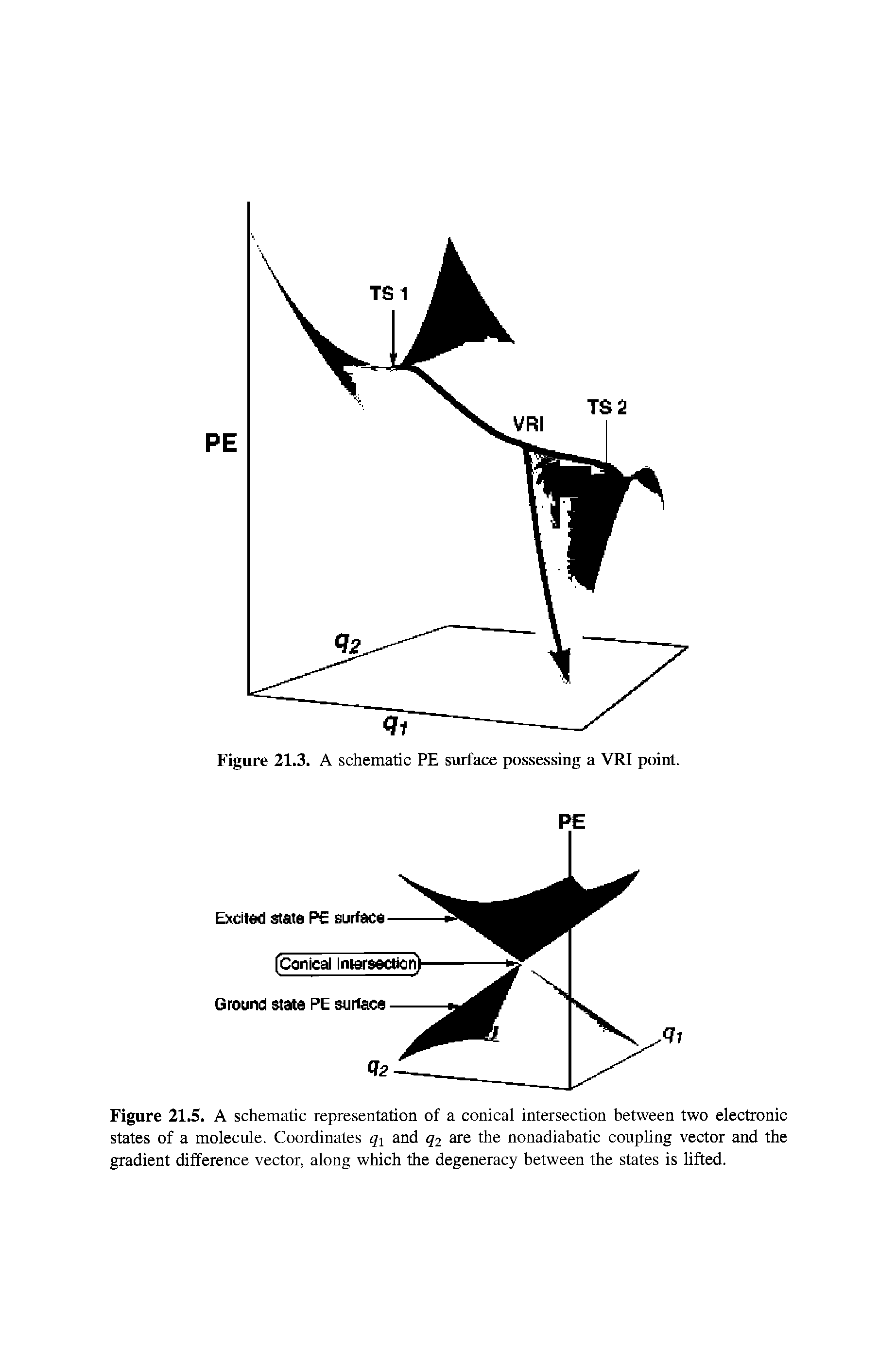 Figure 21.5. A schematic representation of a conical intersection between two electronic states of a molecule. Coordinates qi and 52 ars the nonadiahatic coupling vector and the gradient difference vector, along which the degeneracy between the states is lifted.