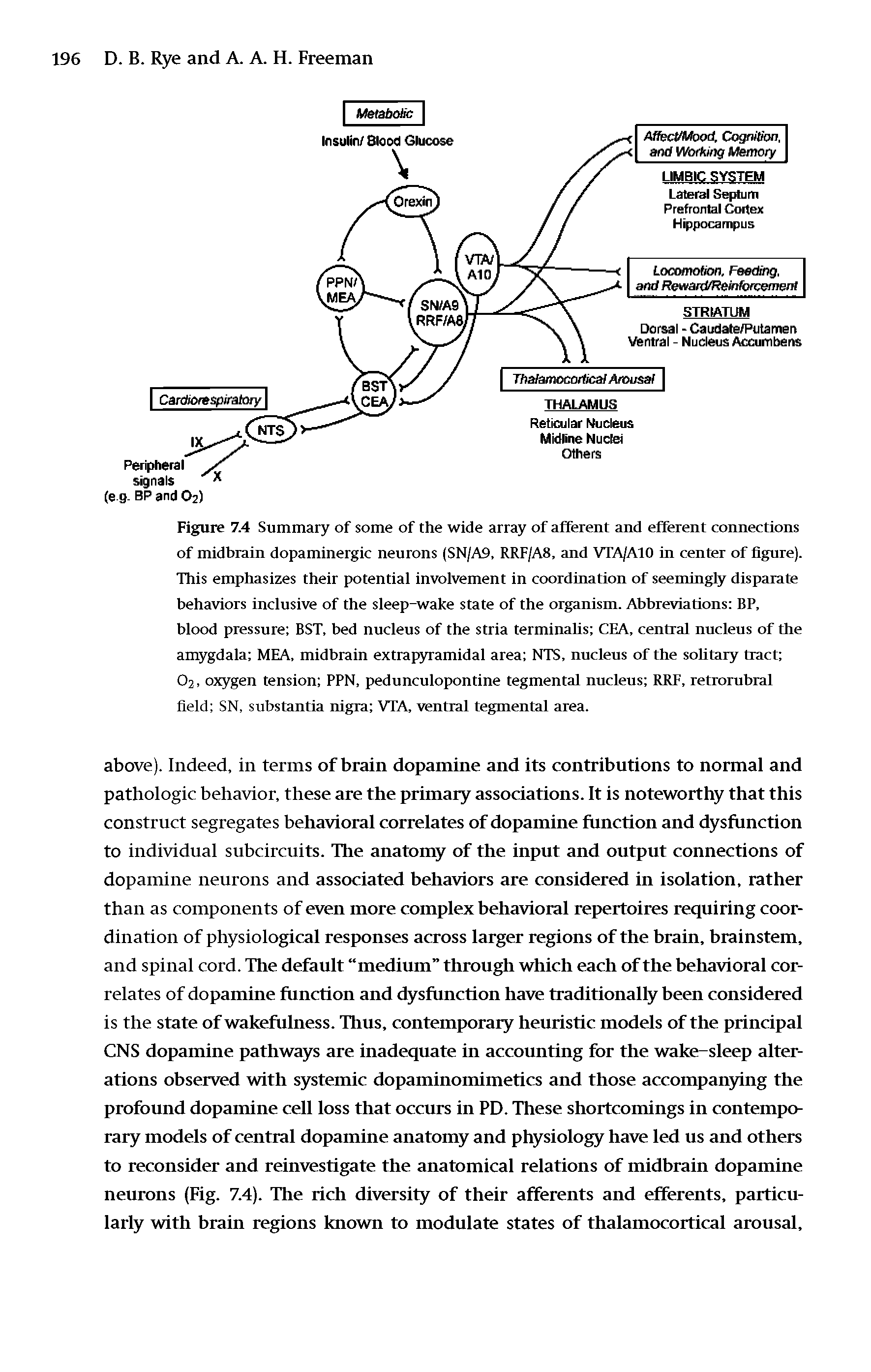 Figure 7.4 Summary of some of the wide array of afferent and efferent connections of midbrain dopaminergic neurons (SN/A9, RRF/A8, and VTA/A10 in center of figure). This emphasizes their potential involvement in coordination of seemingly disparate behaviors inclusive of the sleep-wake state of the organism. Abbreviations BP, blood pressure BST, bed nucleus of the stria terminalis CEA, central nucleus of the amygdala MEA, midbrain extrapyramidal area NTS, nucleus of the solitary tract O2, oxygen tension PPN, pedunculopontine tegmental nucleus RRF, retrorubral field SN, substantia nigra VTA, ventral tegmental area.