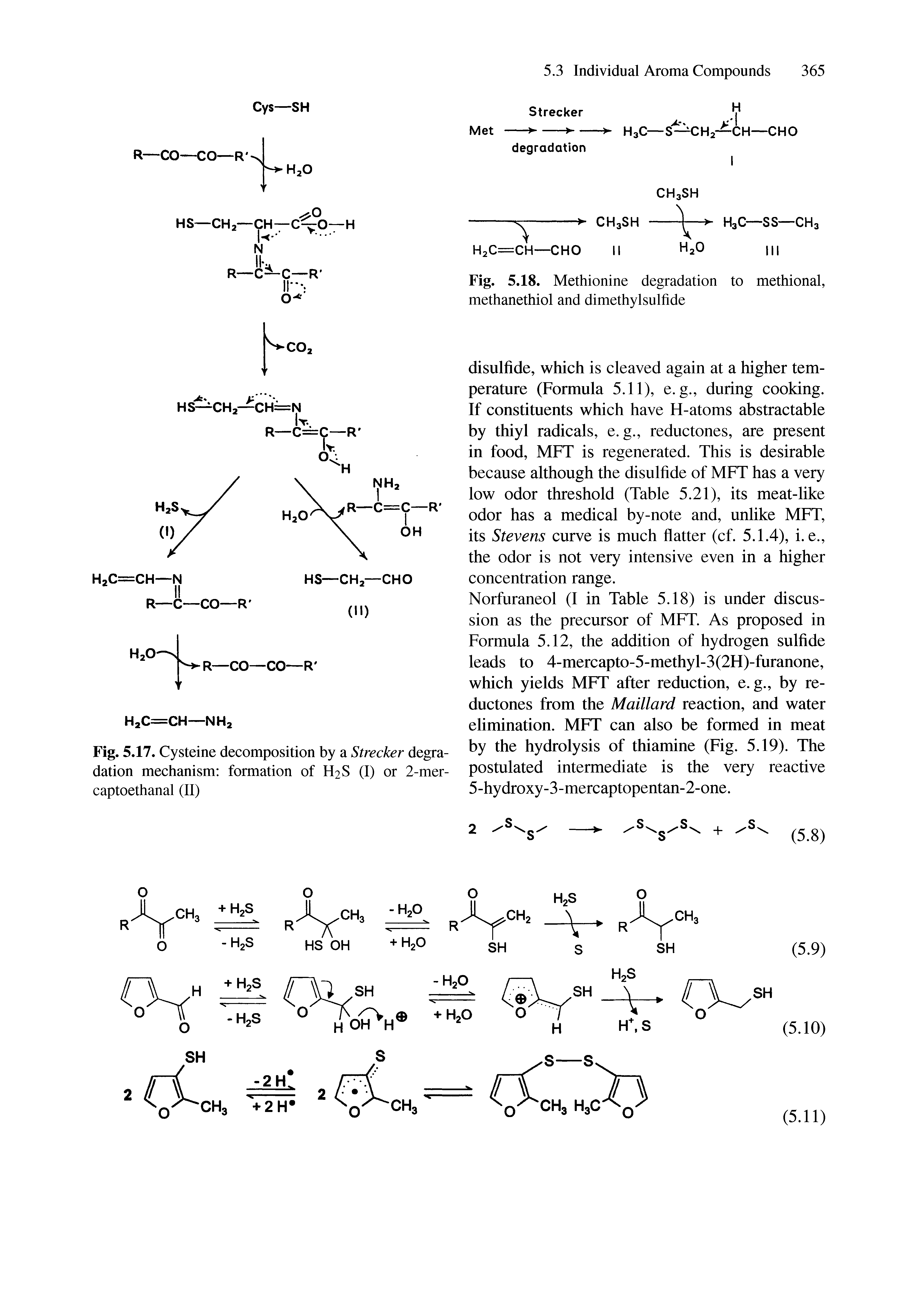 Fig. 5.17. Cysteine decomposition by a Strecker degradation mechanism formation of H2S (I) or 2-mer-captoethanal (II)...